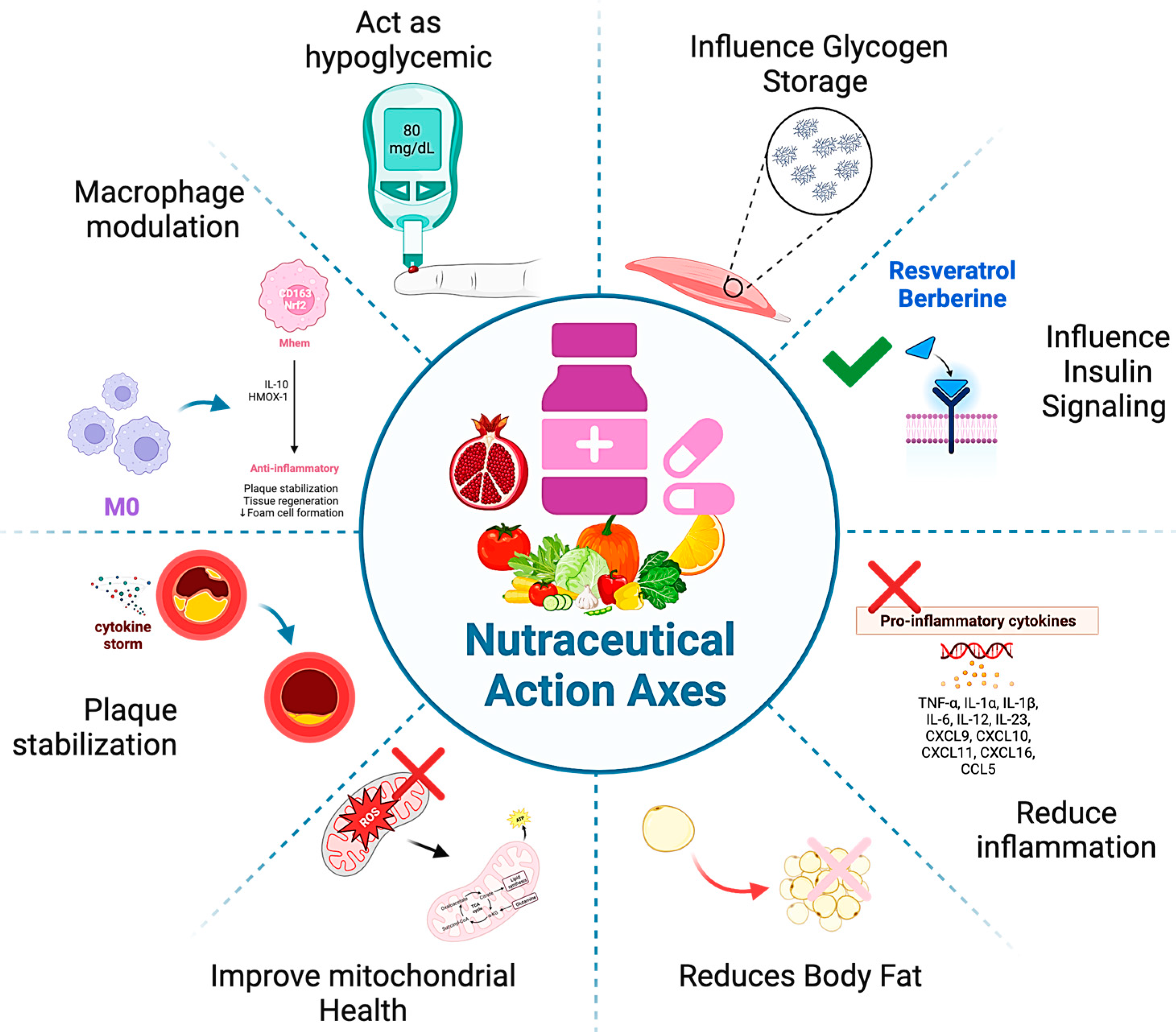 Nutrients 16 00507 g002