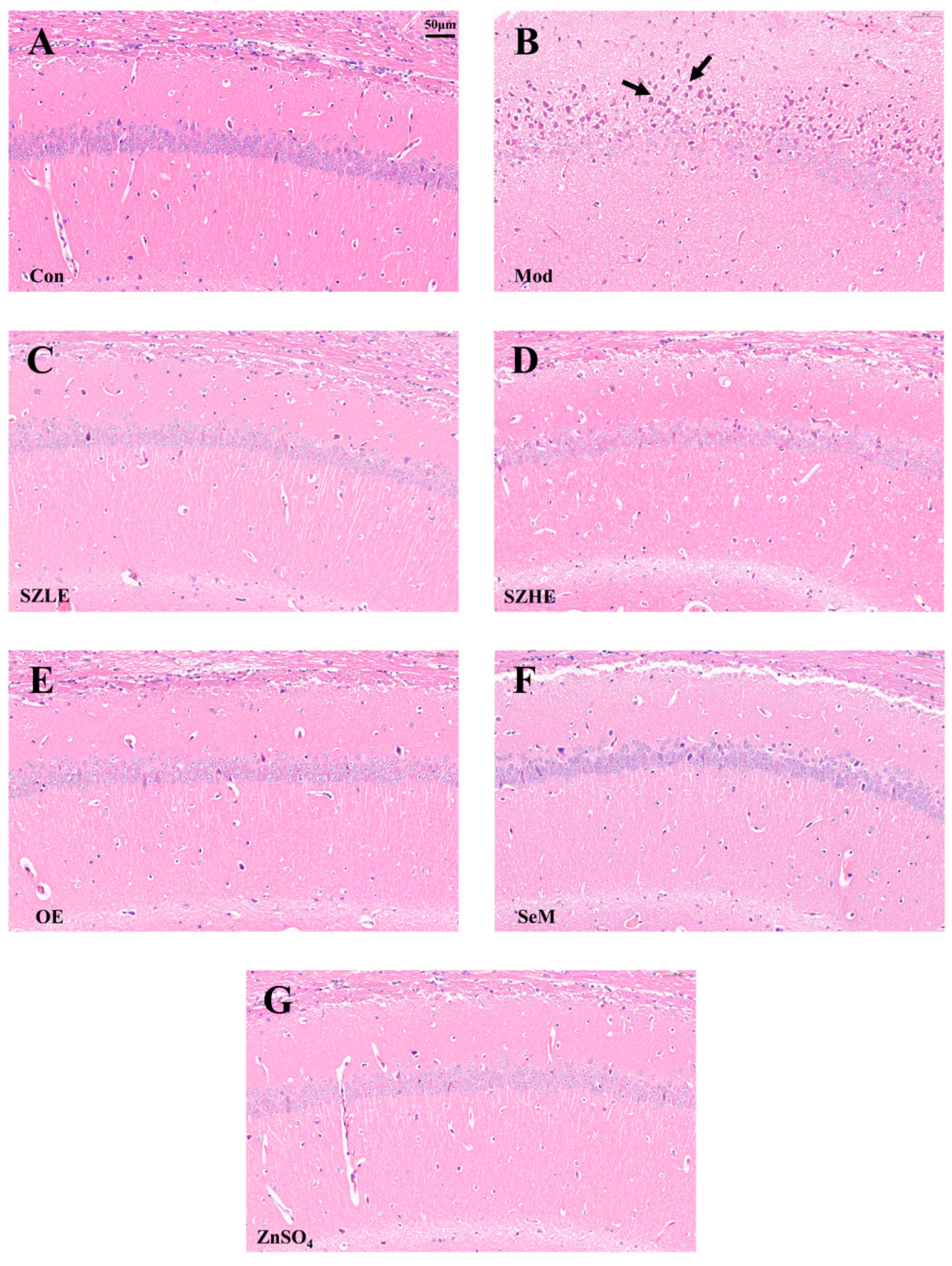 Nutrients 16 00512 g008