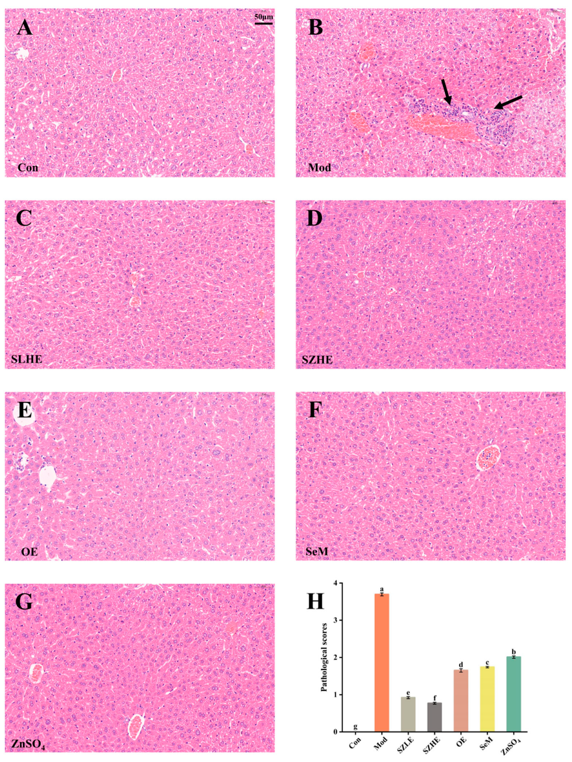 Nutrients 16 00512 g010