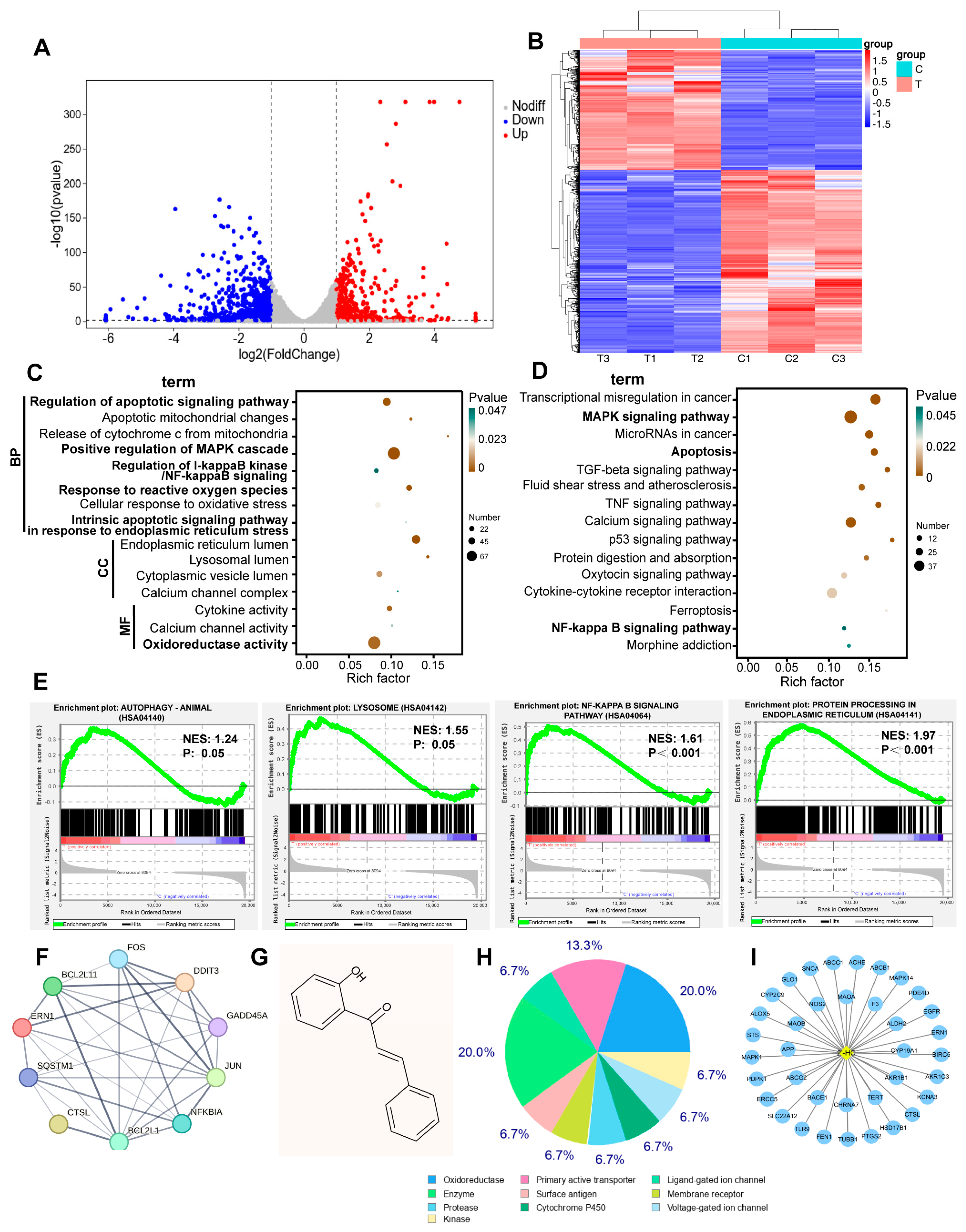 Nutrients 16 00514 g004