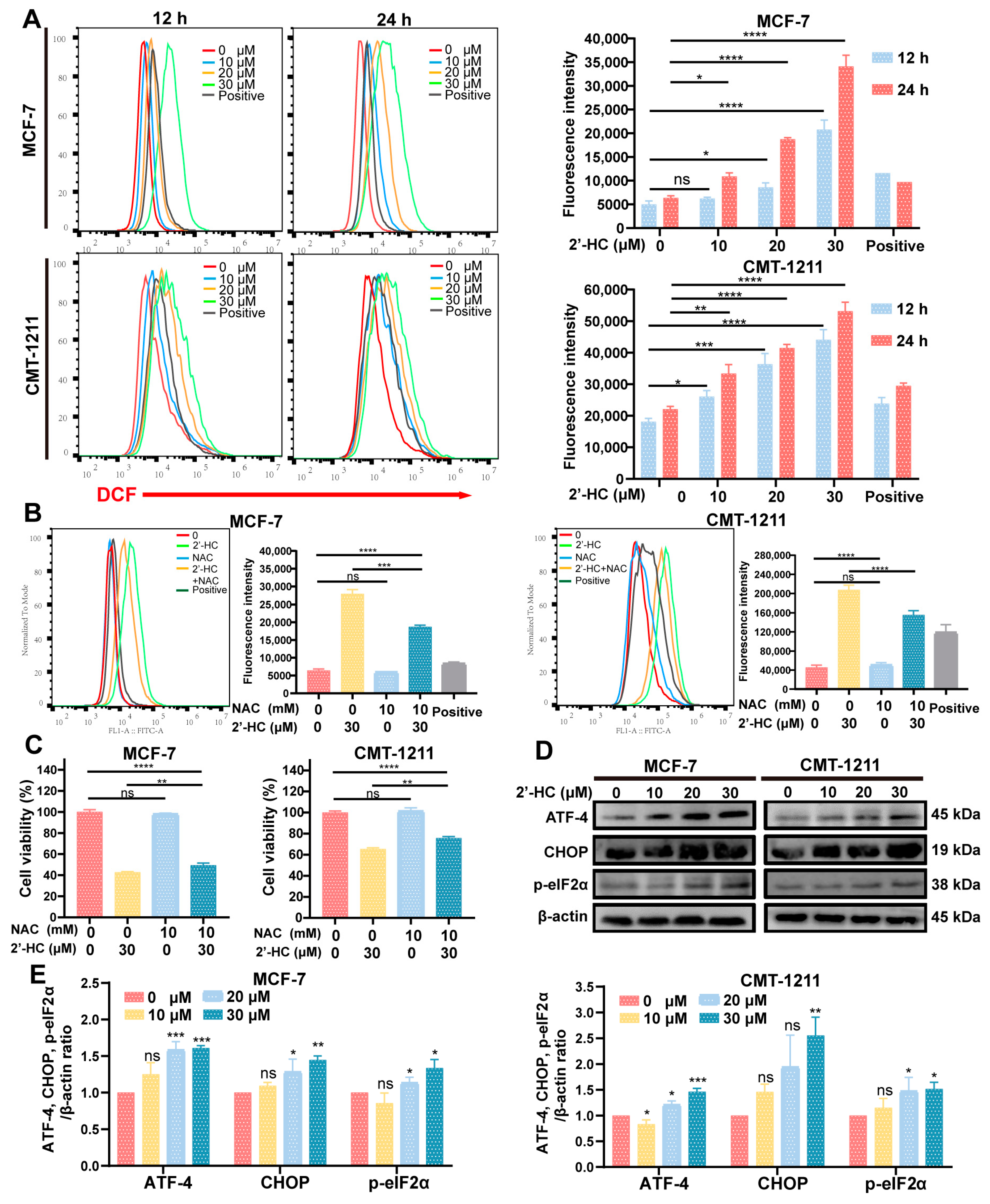 Nutrients 16 00514 g006