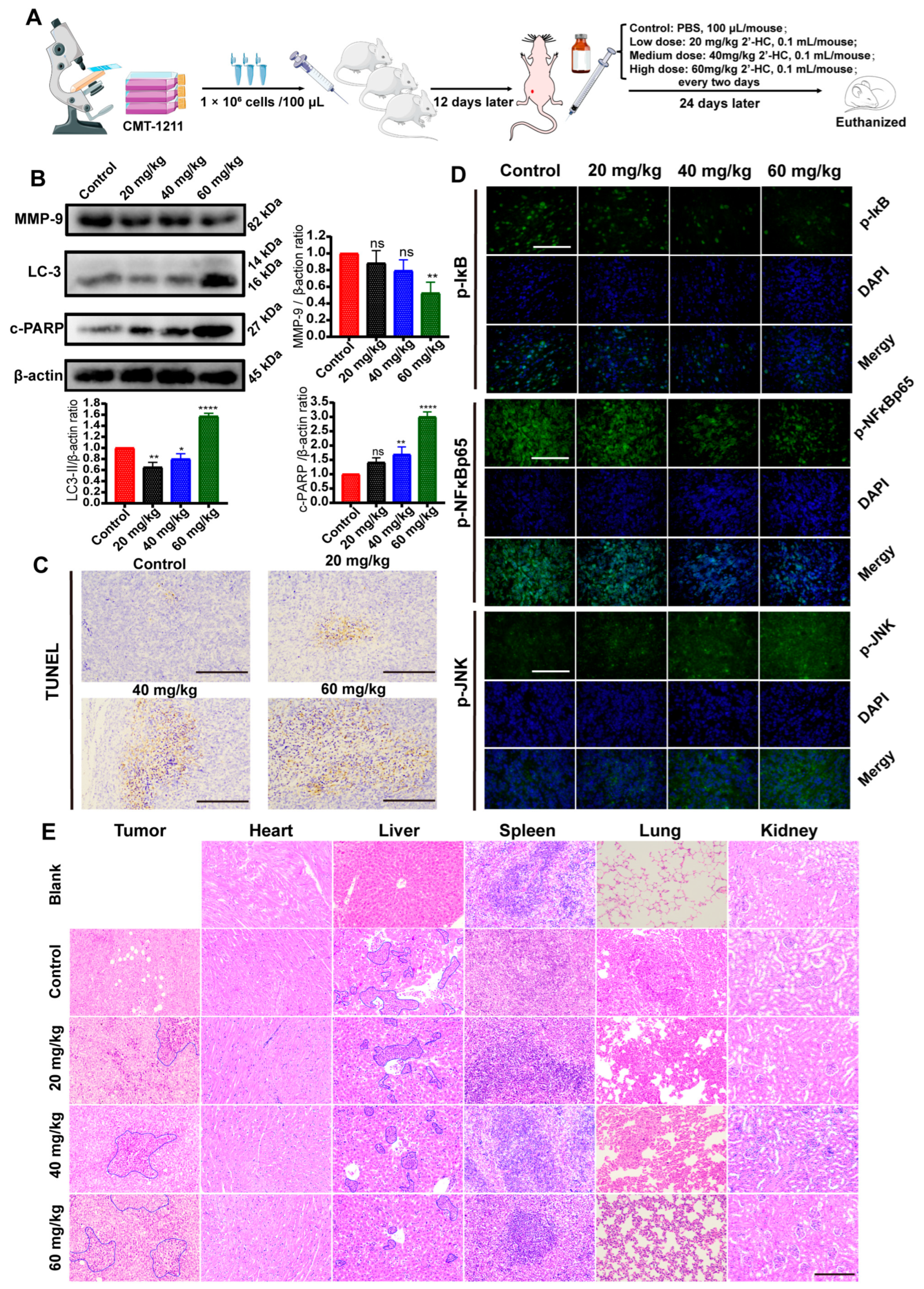 Nutrients 16 00514 g007
