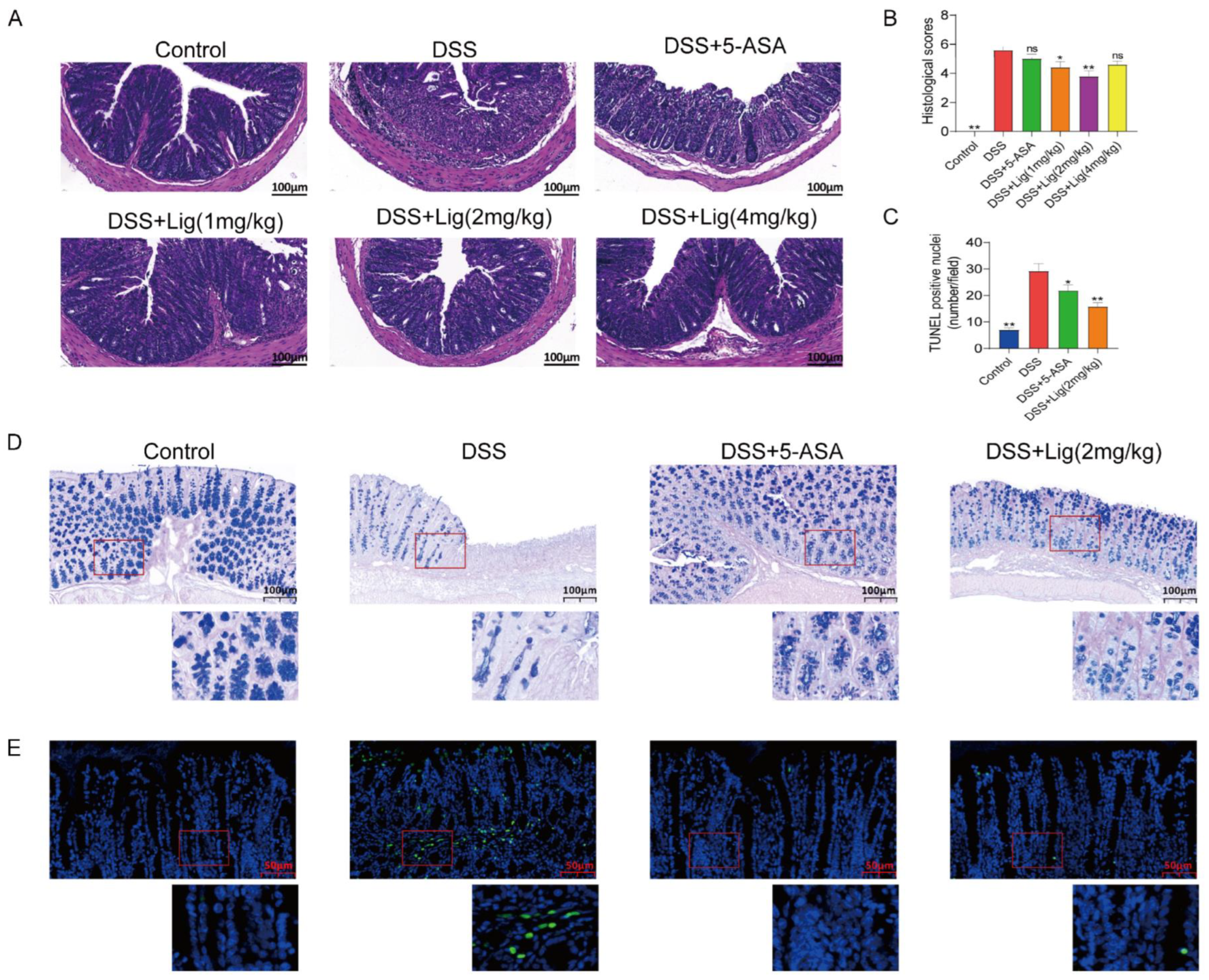 Nutrients 16 00522 g002