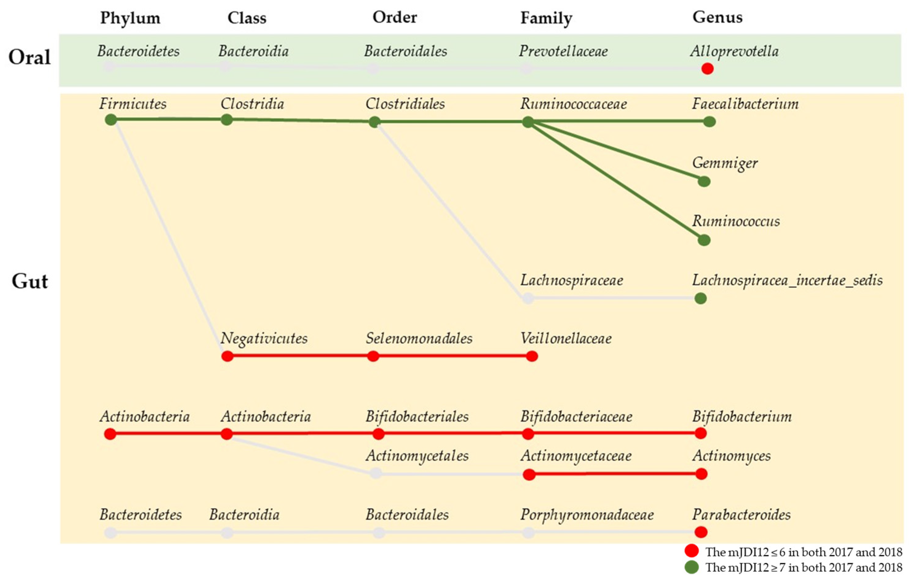 Nutrients 16 00524 g008