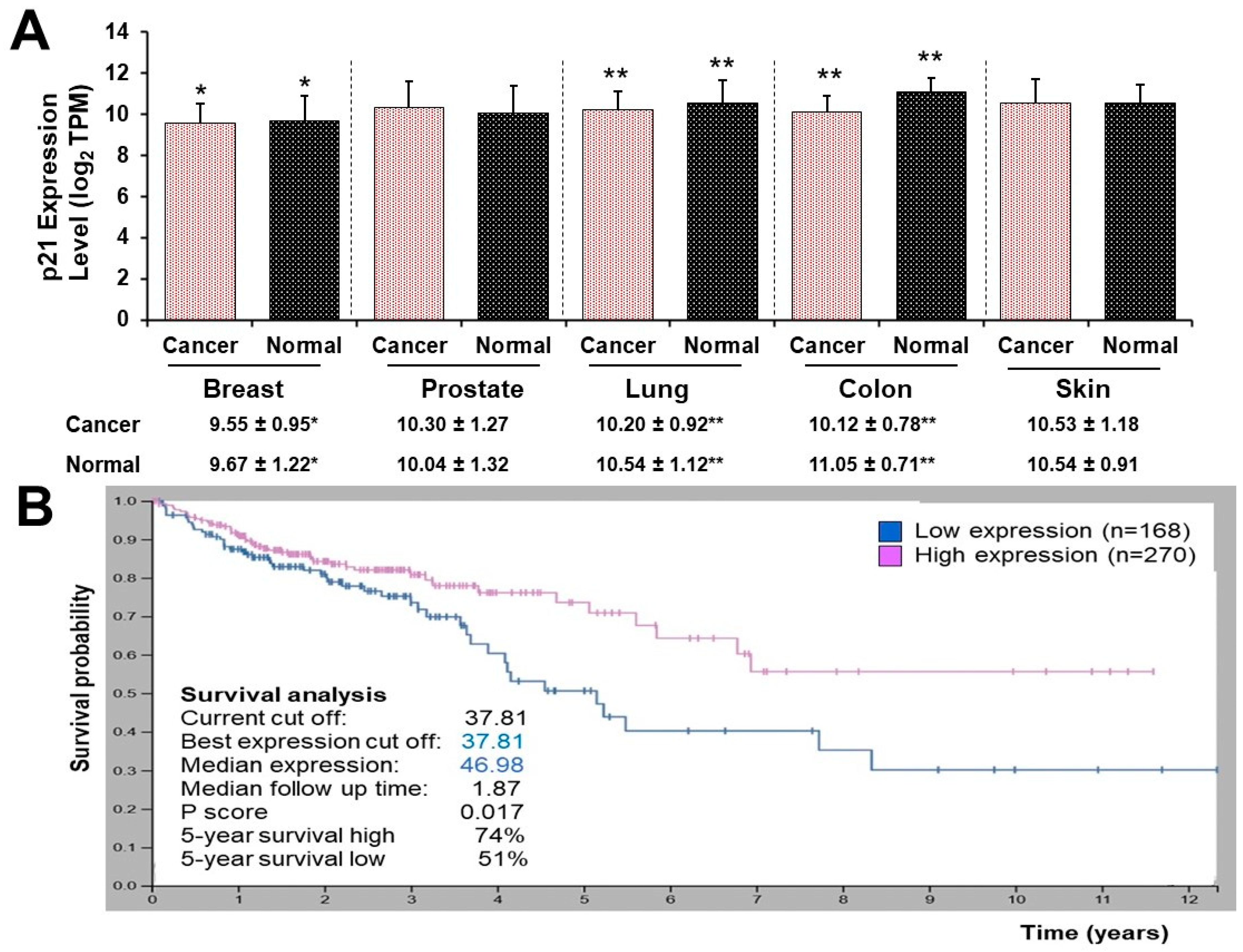 Nutrients 16 00529 g005 Nutrients 16 00529 g005