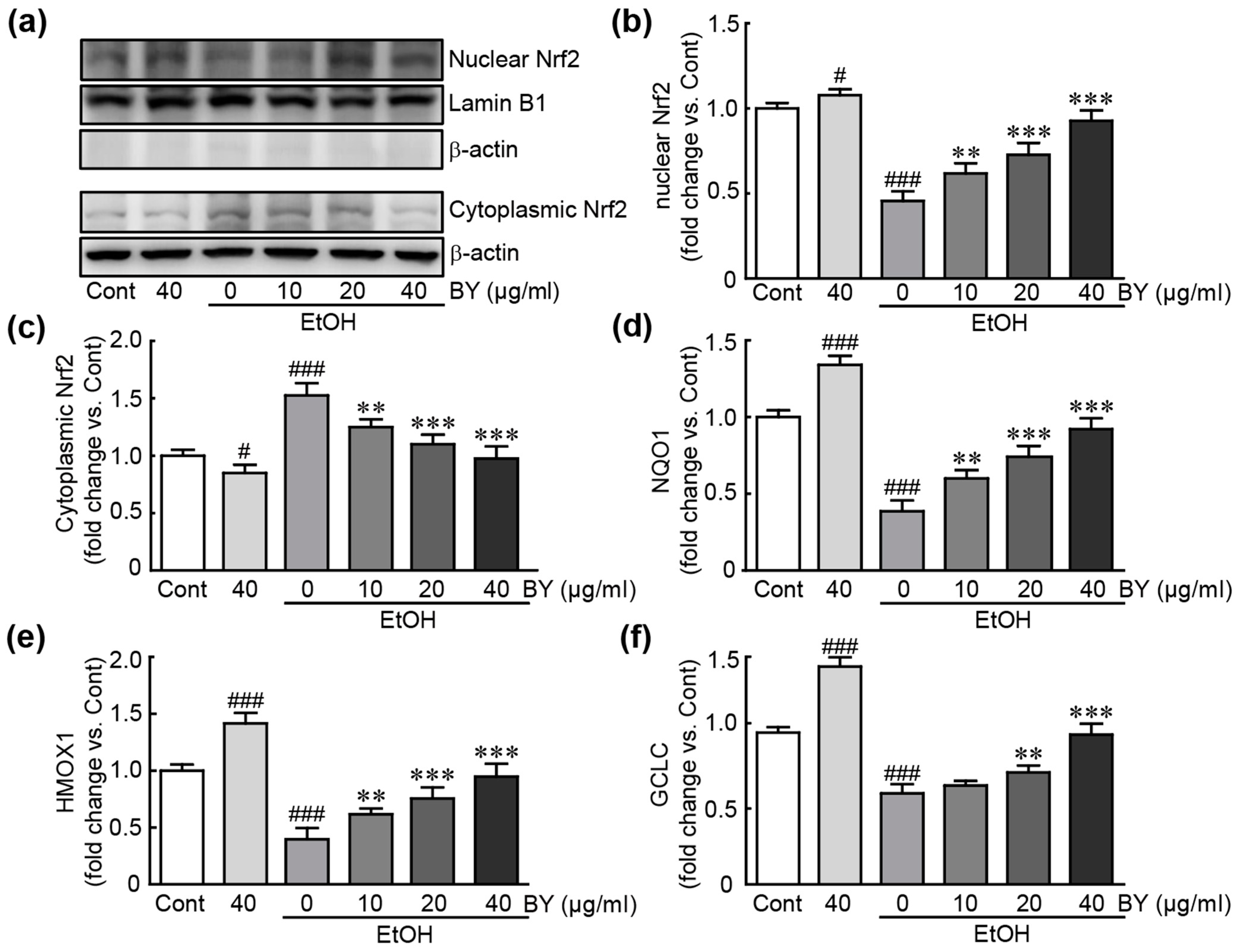 Nutrients 16 00542 g007