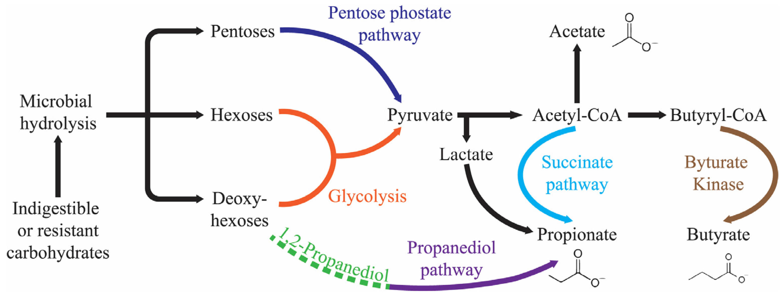 Nutrients 16 00546 g001 Nutrients 16 00546 g001