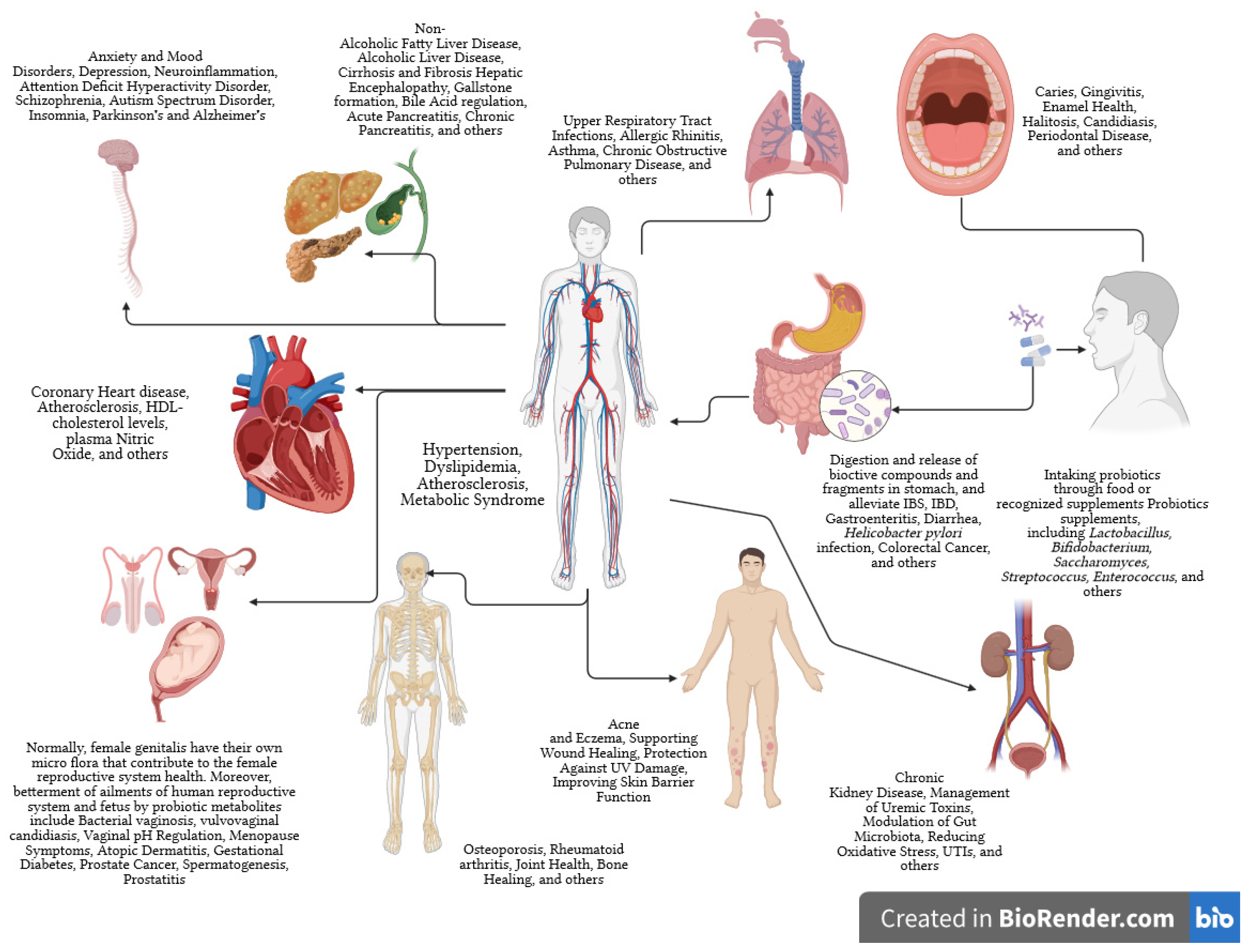 Nutrients 16 00546 g002 Nutrients 16 00546 g002