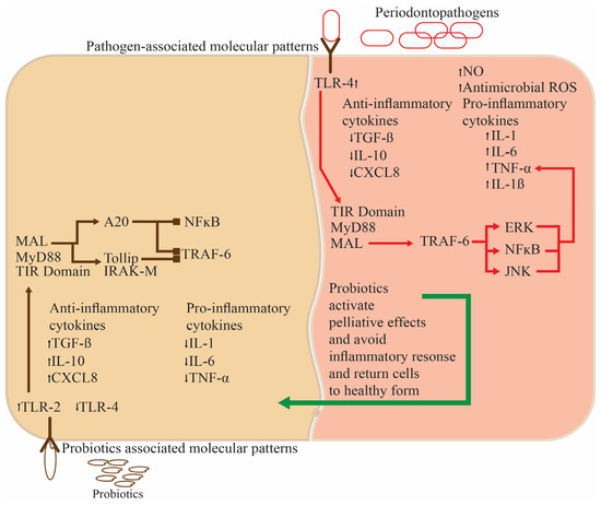 probiotics and glutathione Medi-peel main image 0