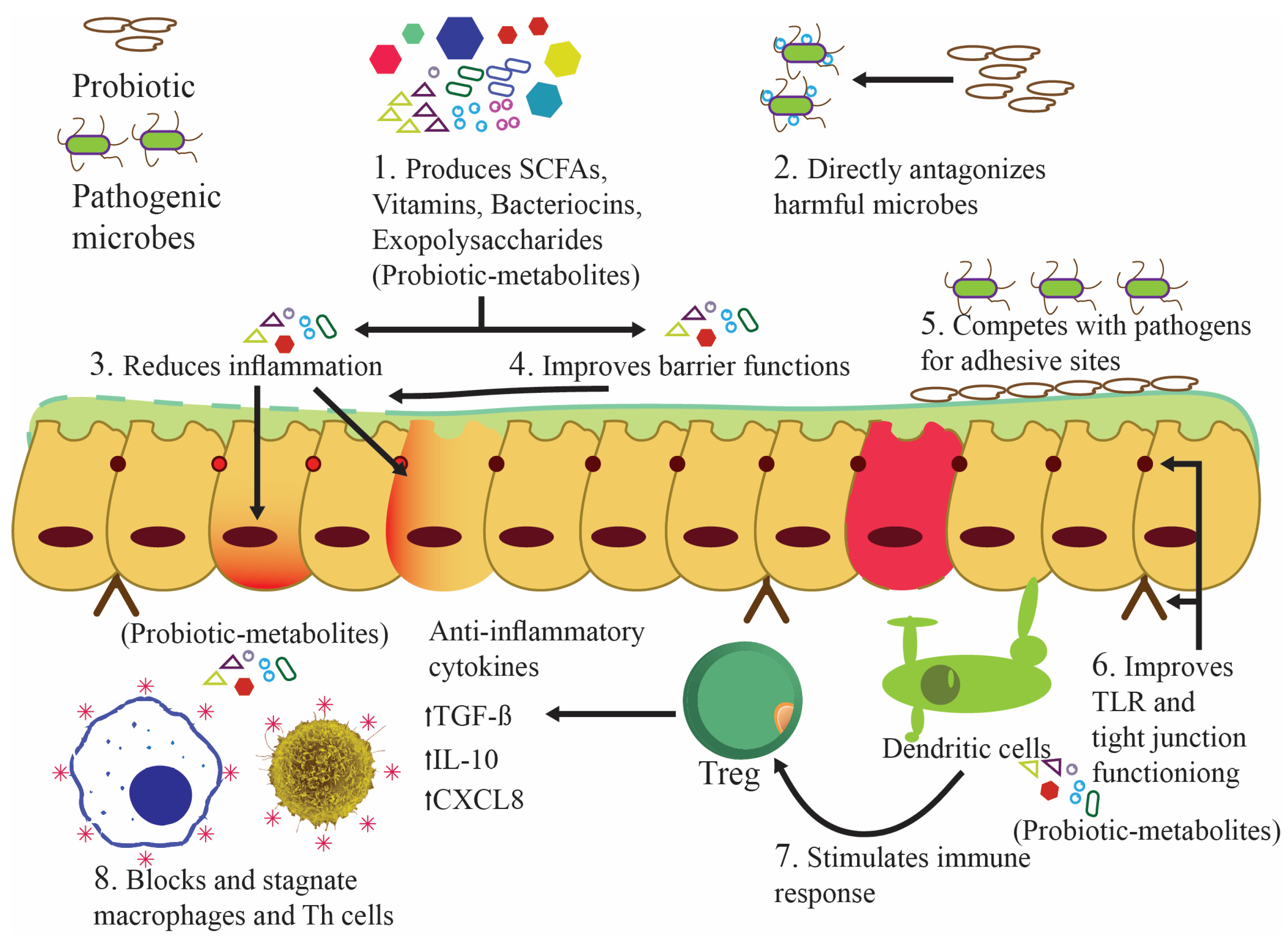 Nutrients 16 00546 g004 Nutrients 16 00546 g004