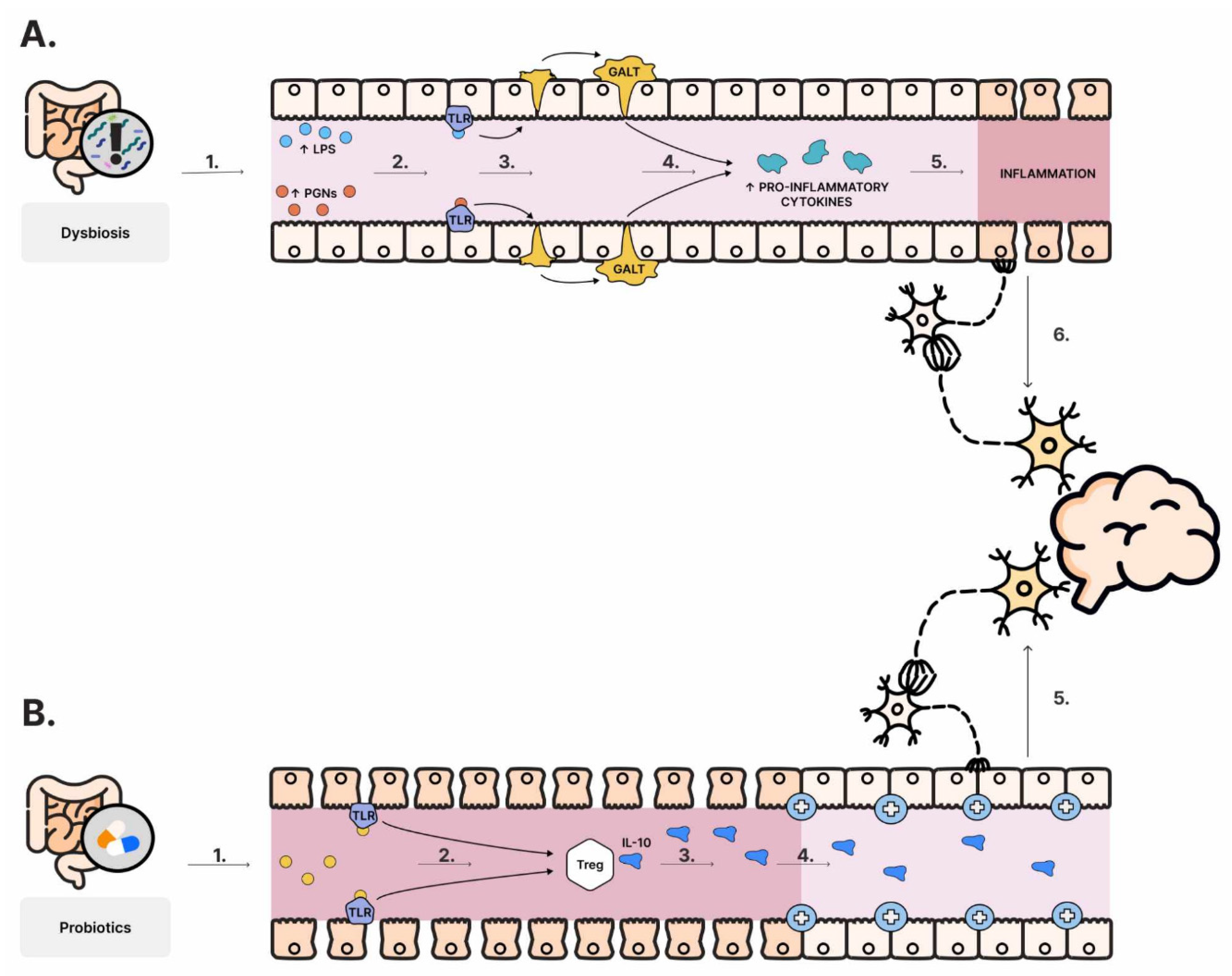 Nutrients 16 00549 g003 Nutrients 16 00549 g003