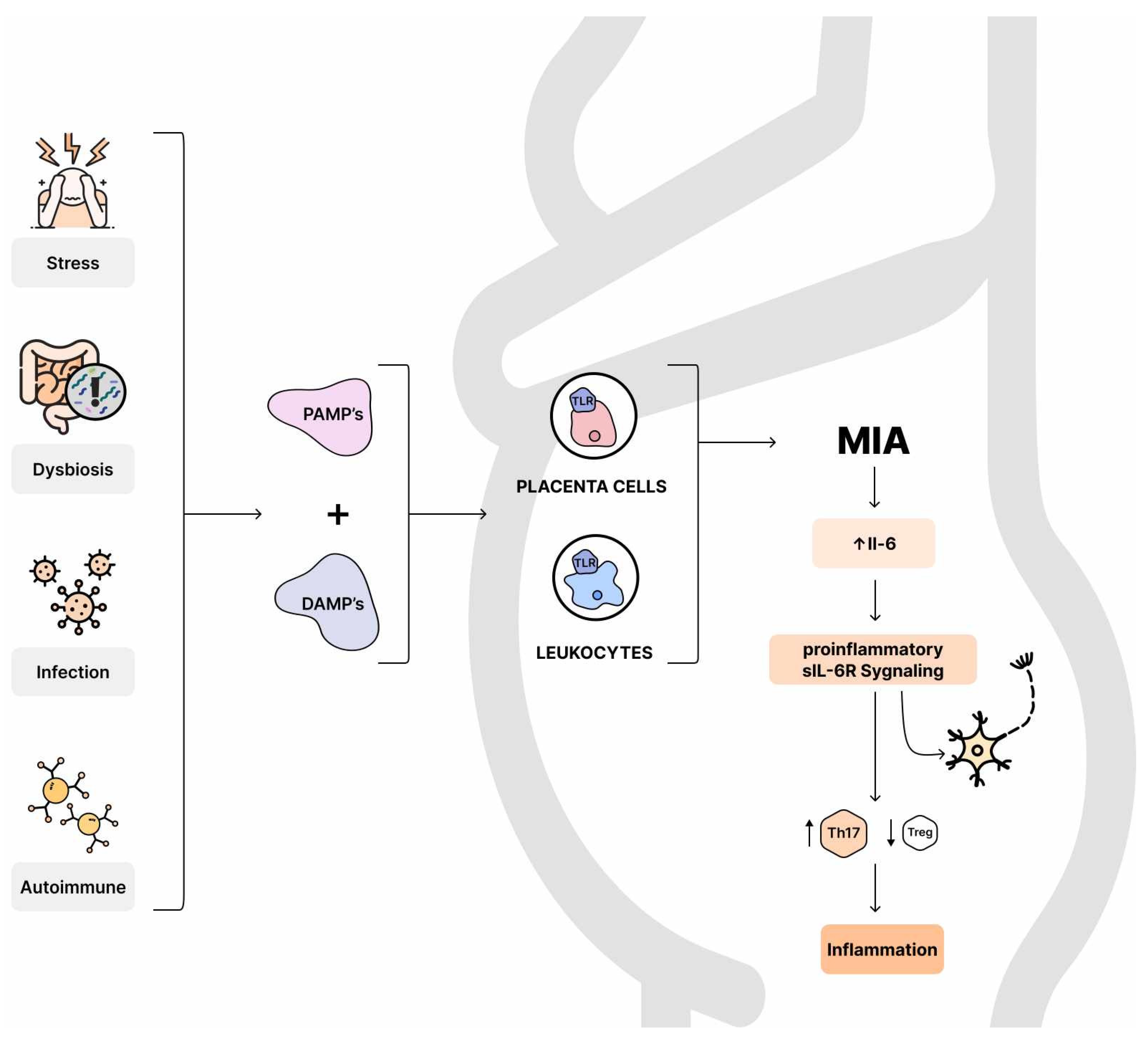 Nutrients 16 00549 g004 Nutrients 16 00549 g004