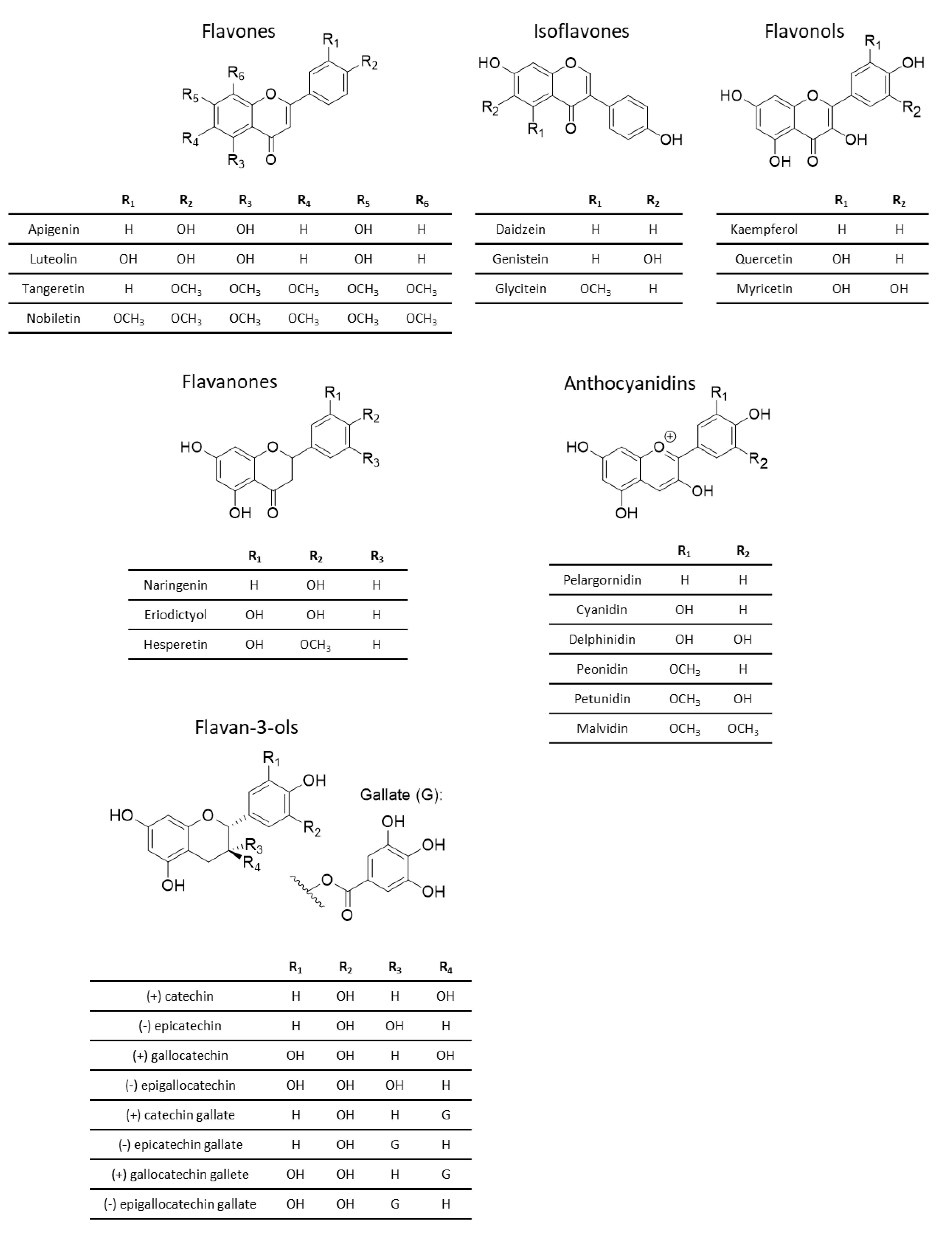Nutrients 16 00551 g004