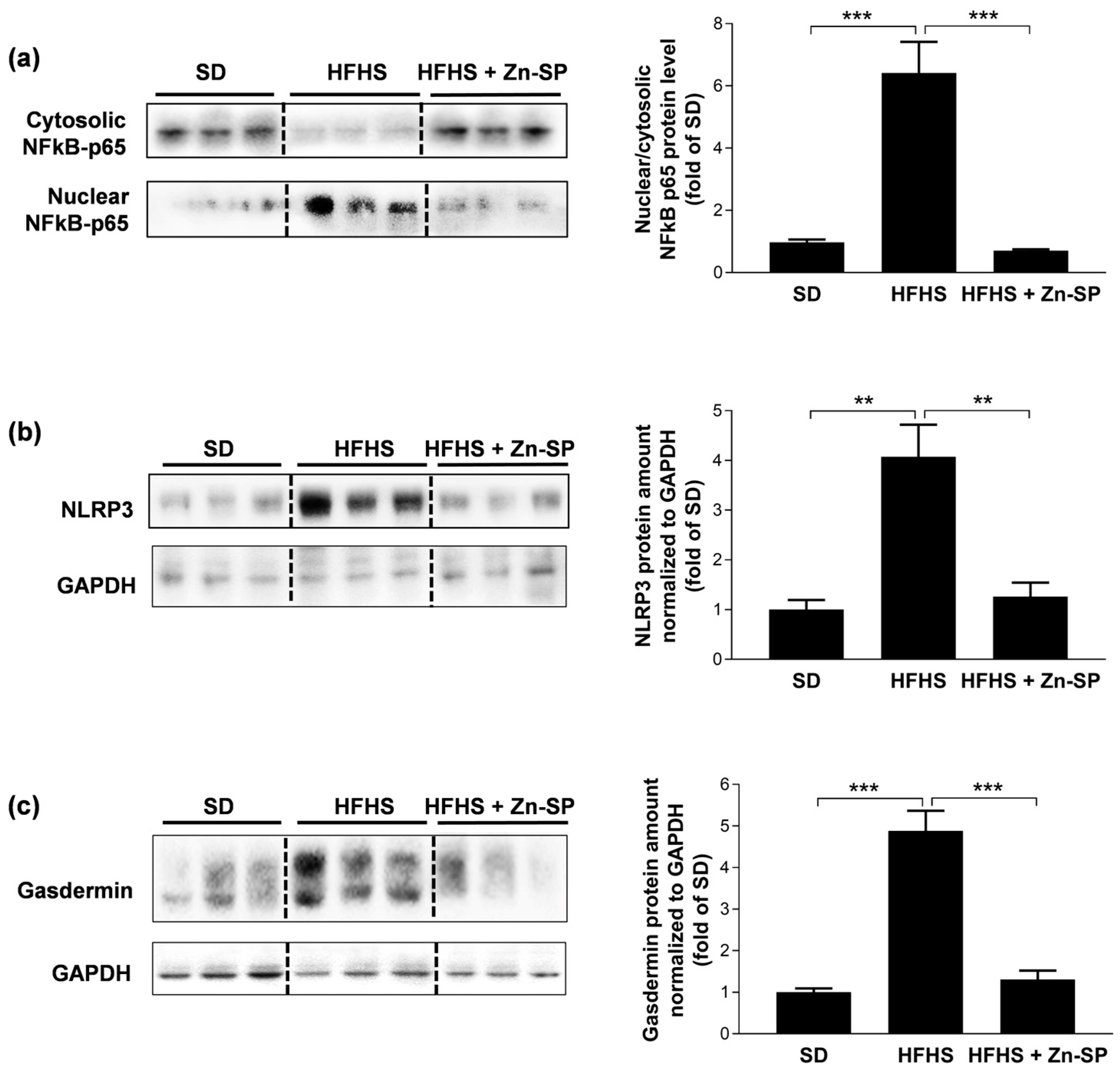 Nutrients 16 00552 g004