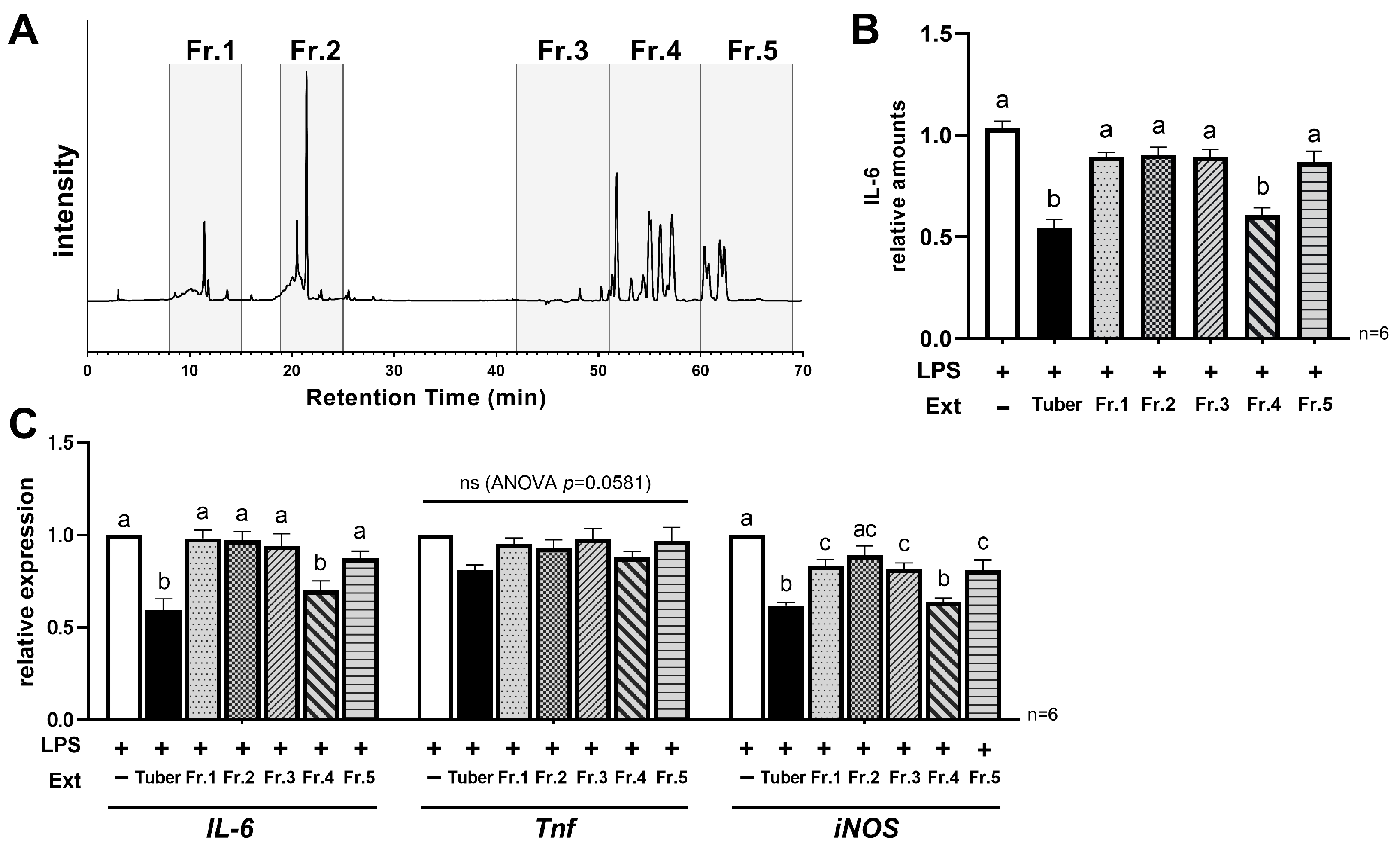 Nutrients 16 00563 g004