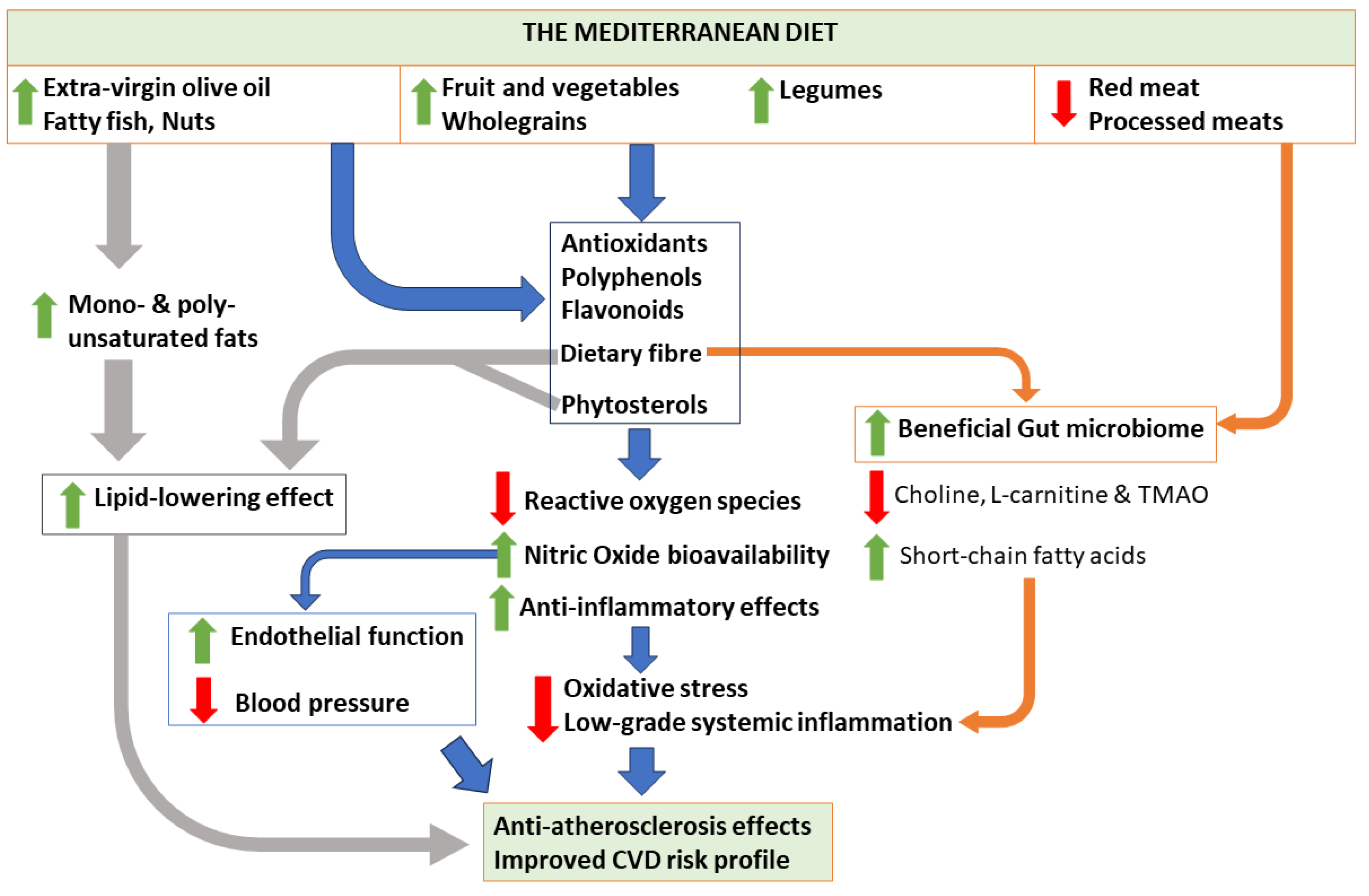 Nutrients 16 00570 g001