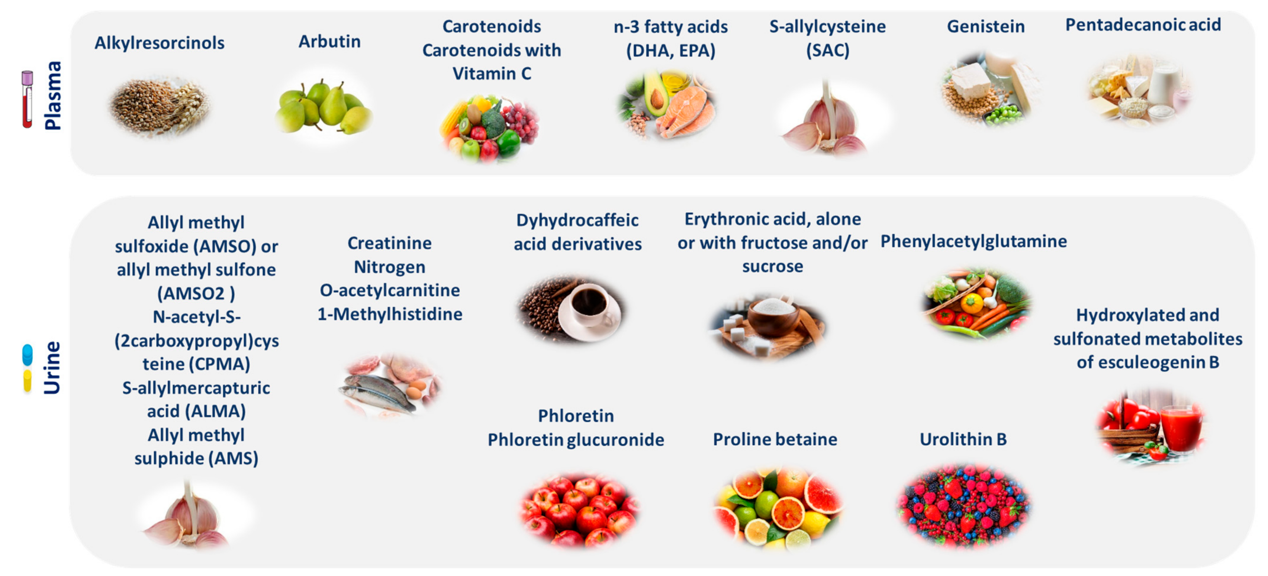 Nutrients 16 00581 g003