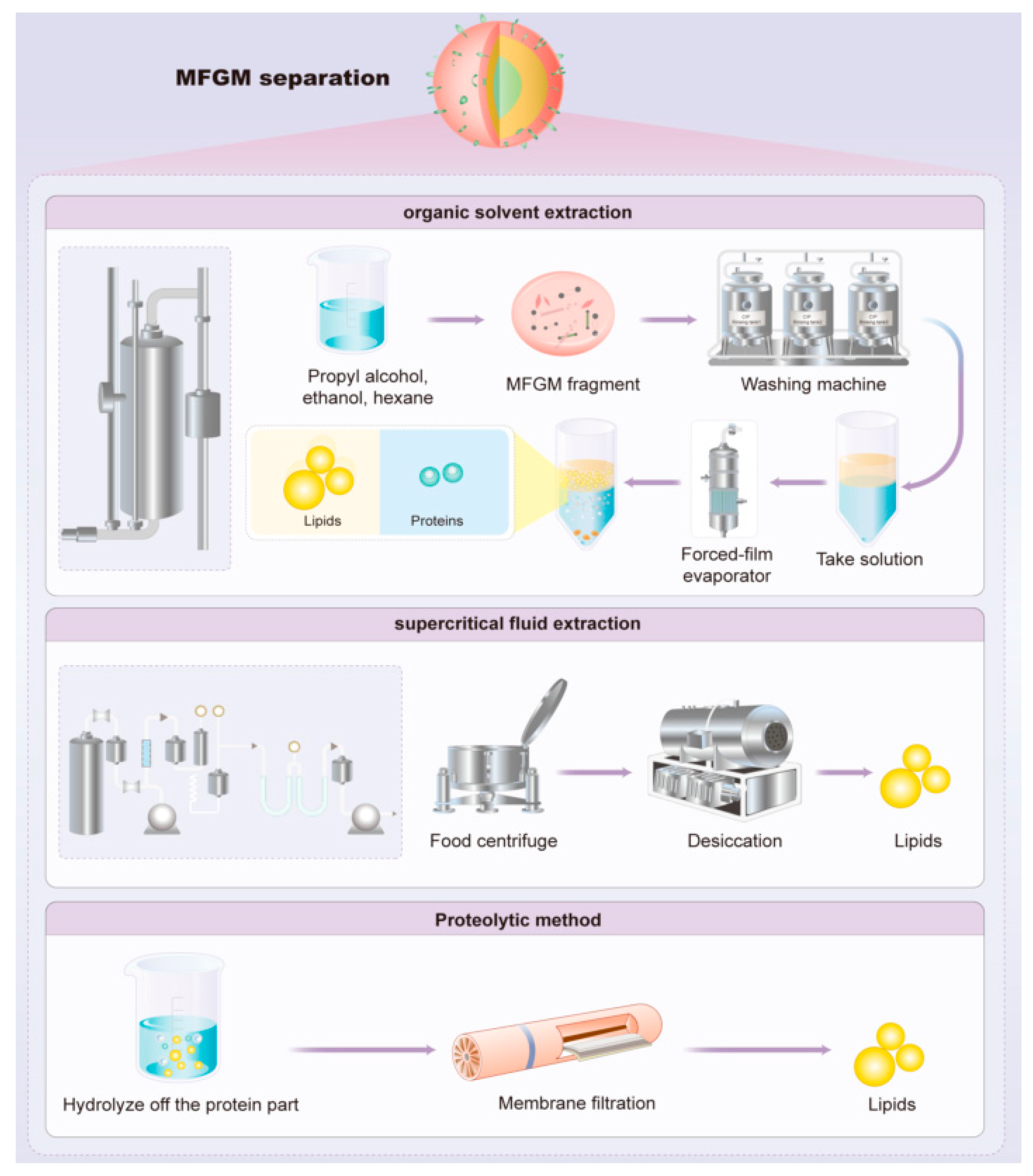 Nutrients 16 00587 g004 Nutrients 16 00587 g004