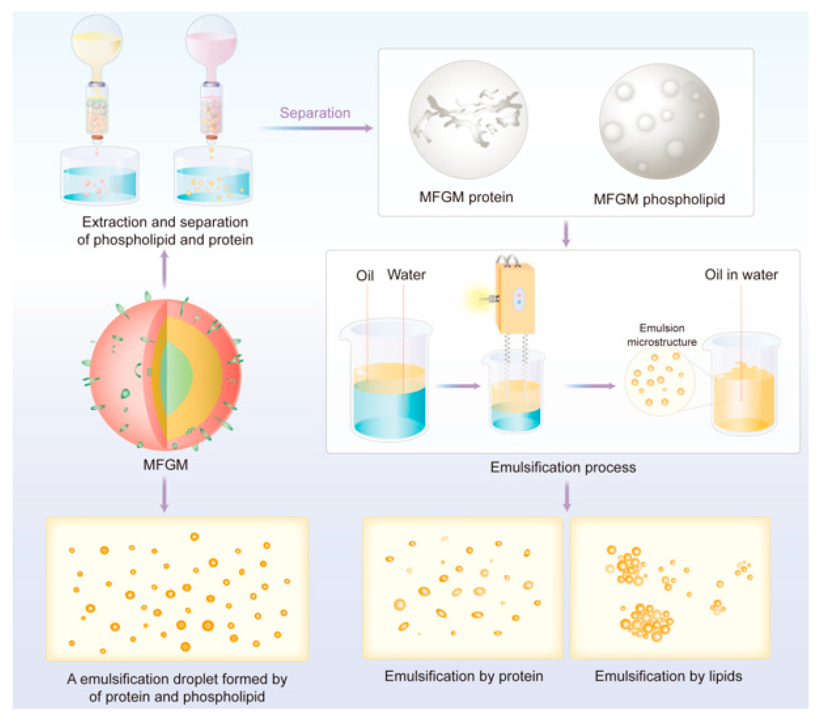 Nutrients 16 00587 g005 Nutrients 16 00587 g005