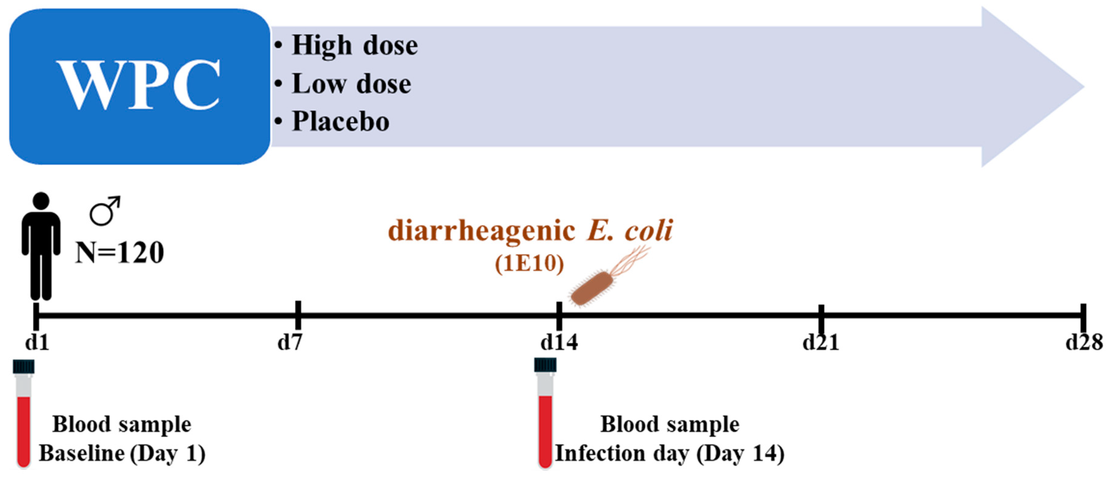 Nutrients 16 00592 g001