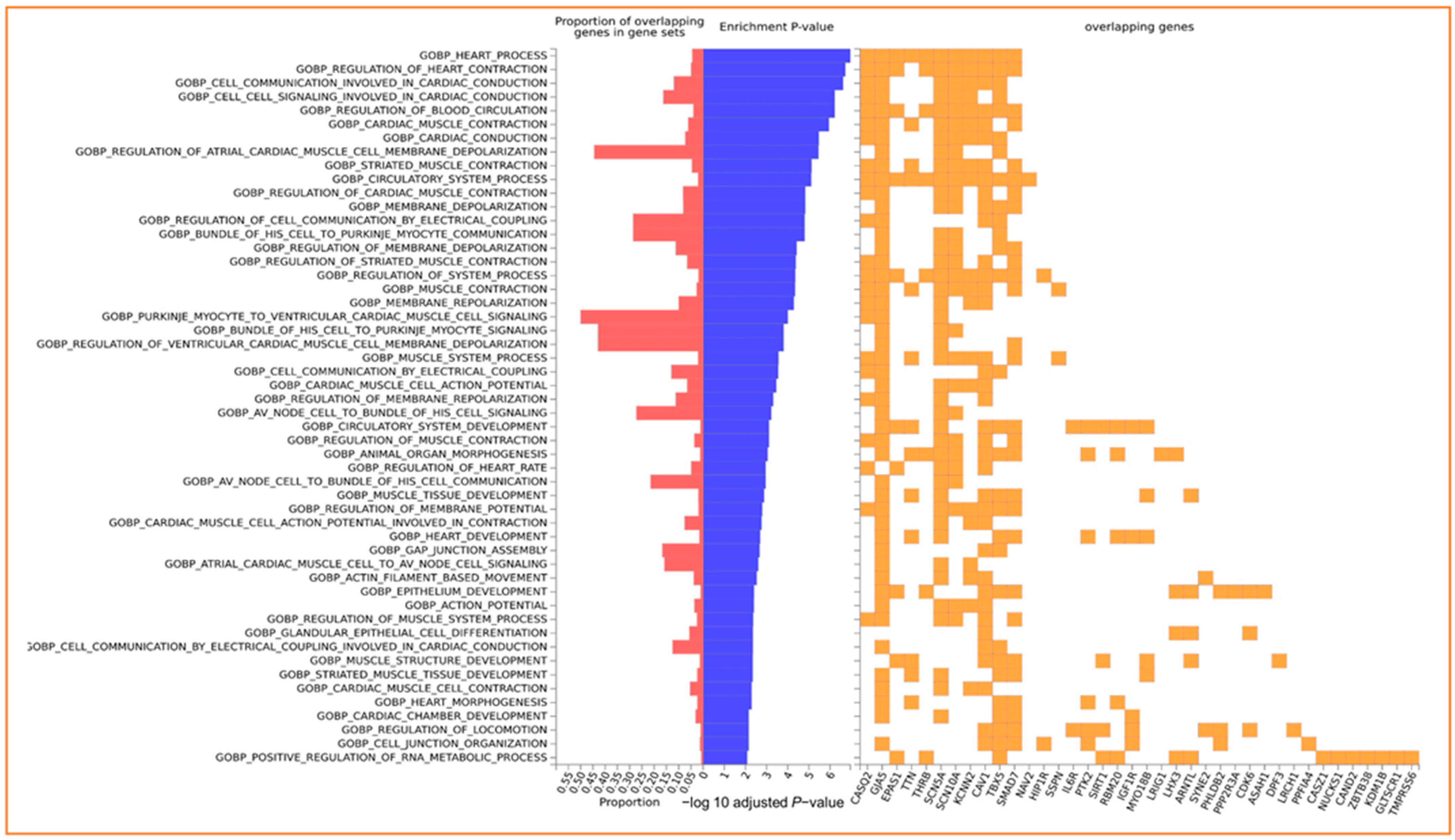 Nutrients 16 00593 g003