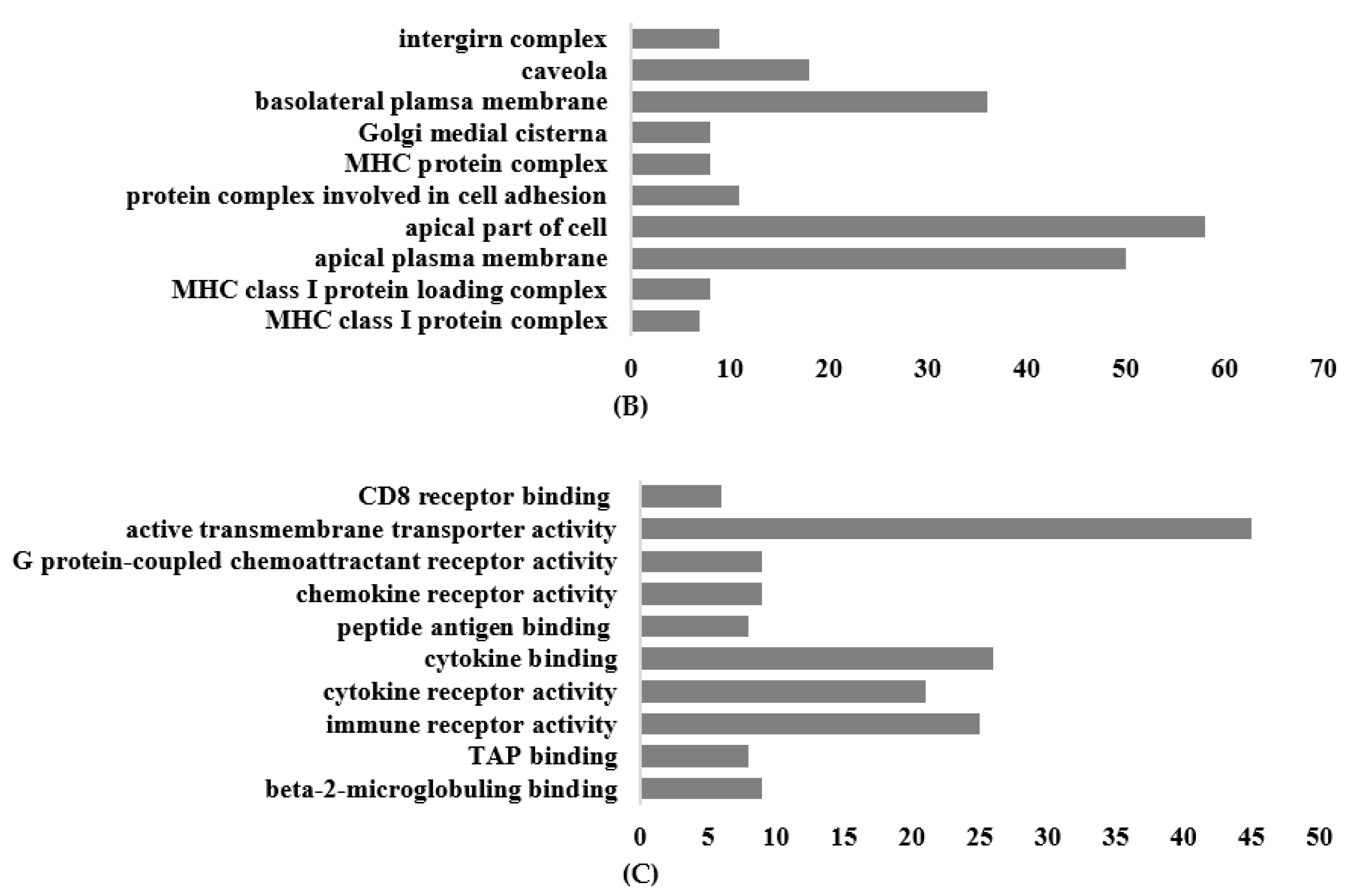 Nutrients 16 00597 g006b Nutrients 16 00597 g006b