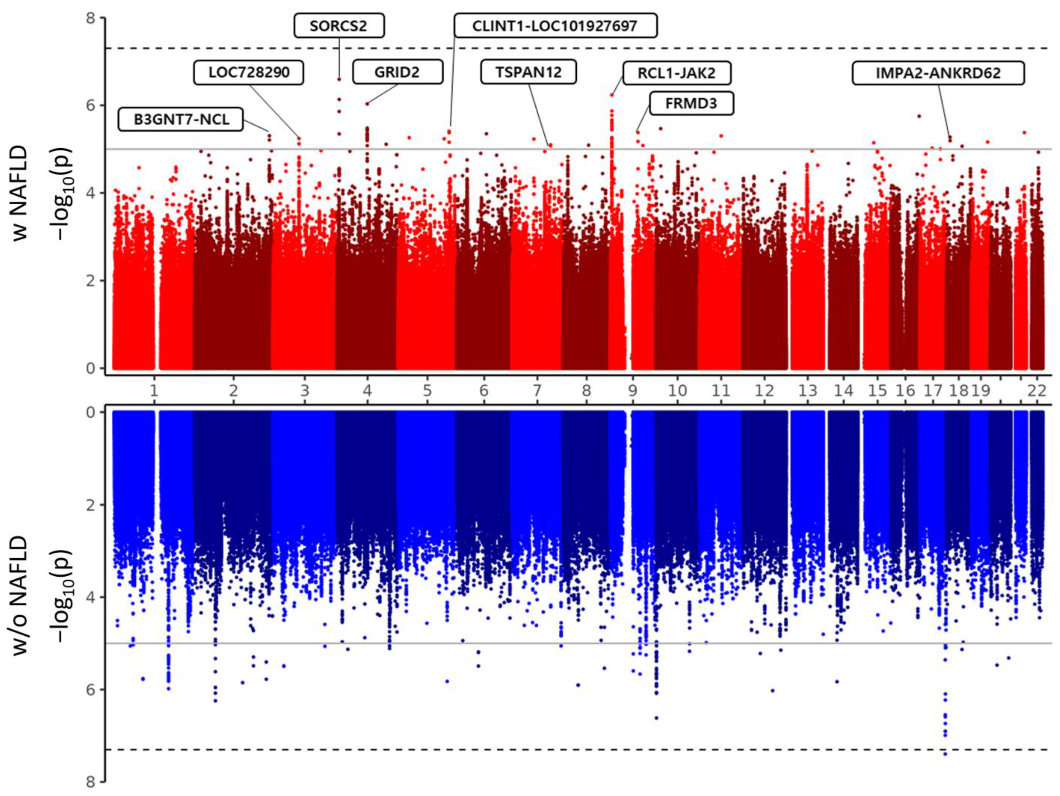 Nutrients 16 00602 g002