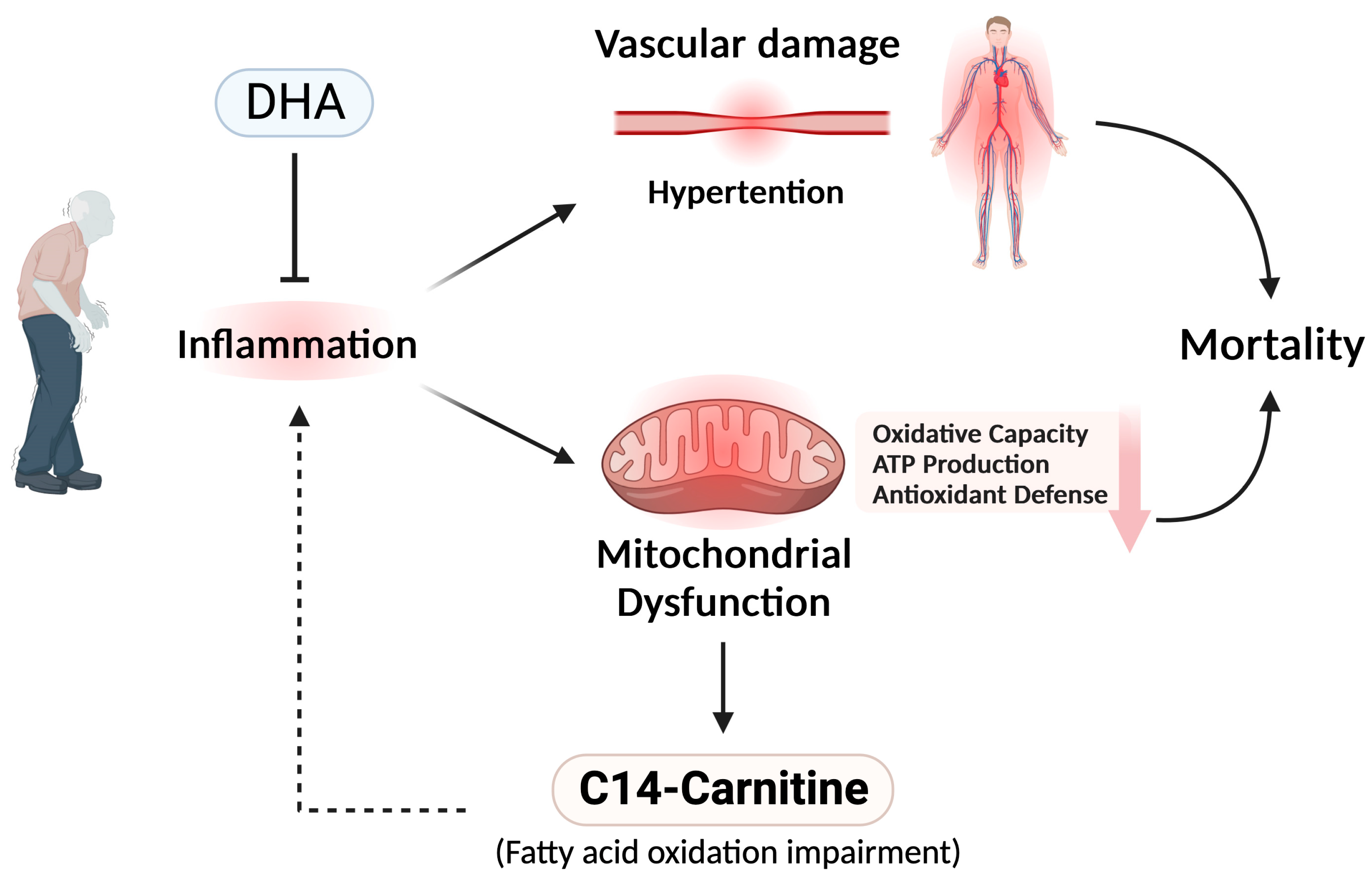 Nutrients 16 00611 g003