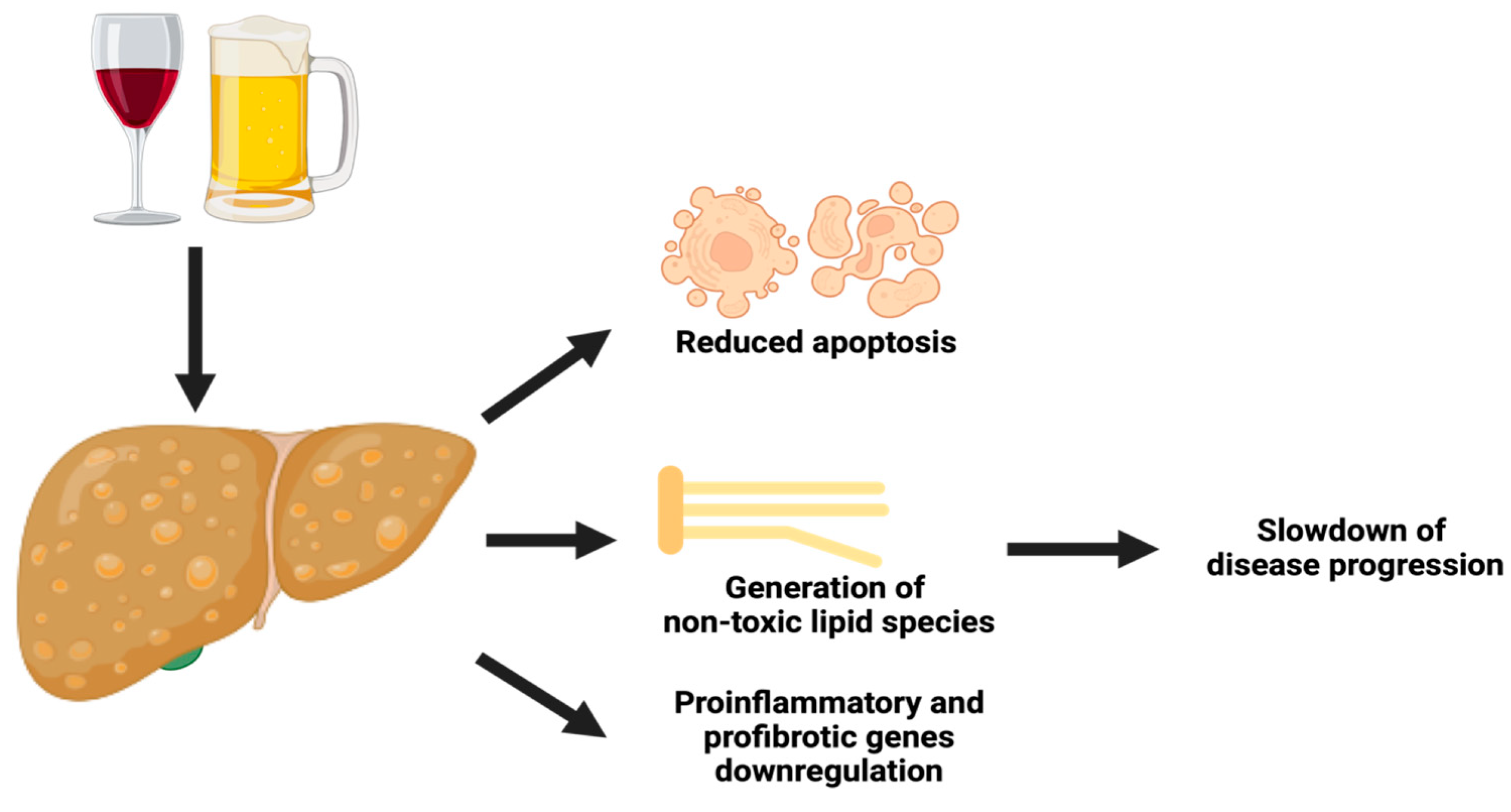 Nutrients 16 00613 g001