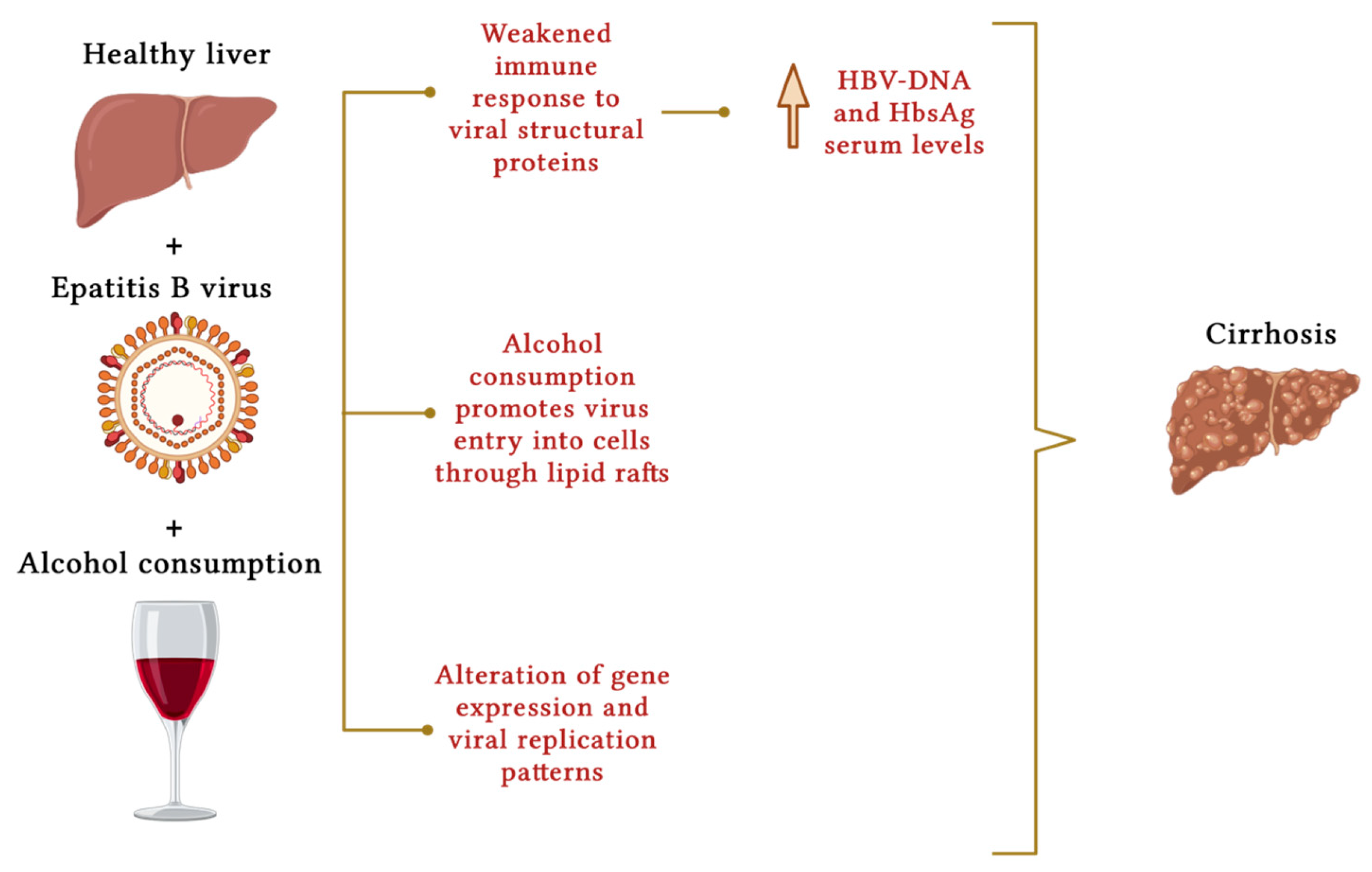 Nutrients 16 00613 g002