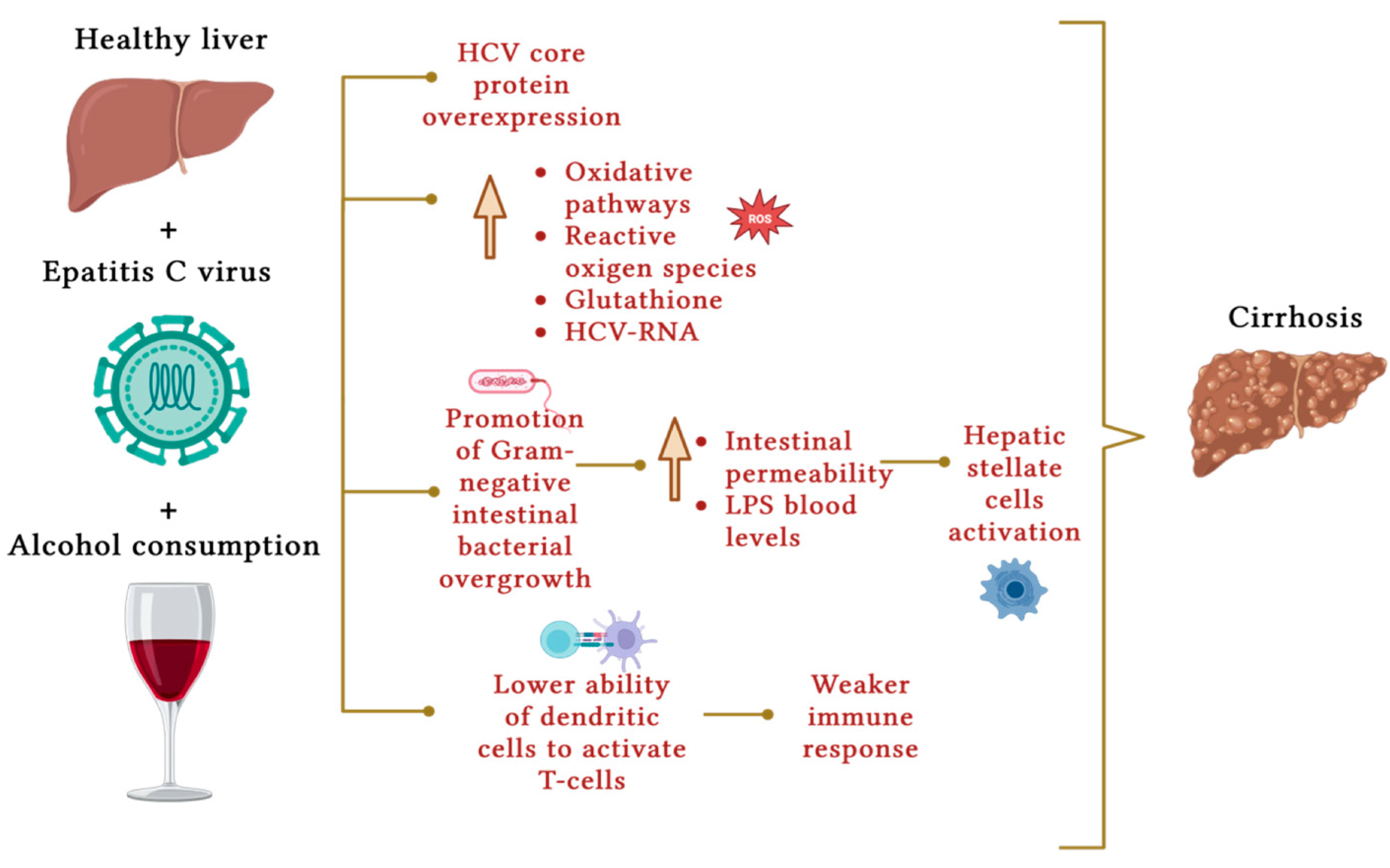 Nutrients 16 00613 g003