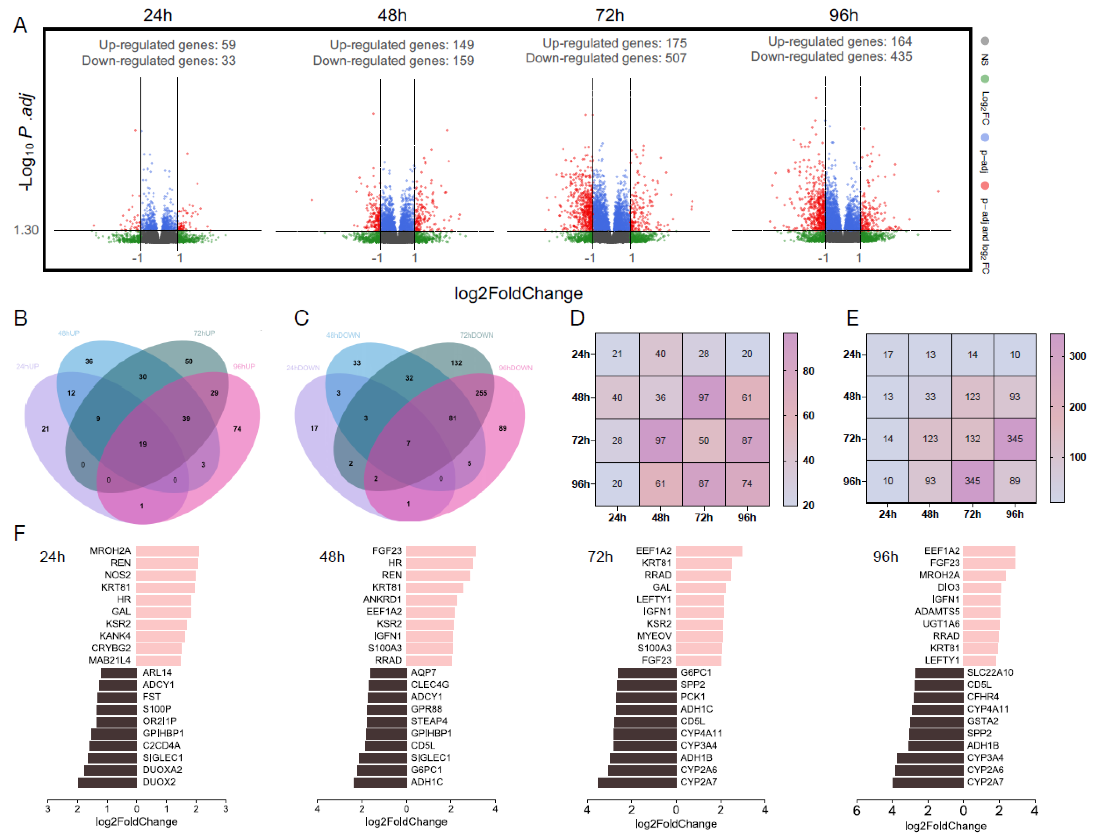 Nutrients 16 00626 g002