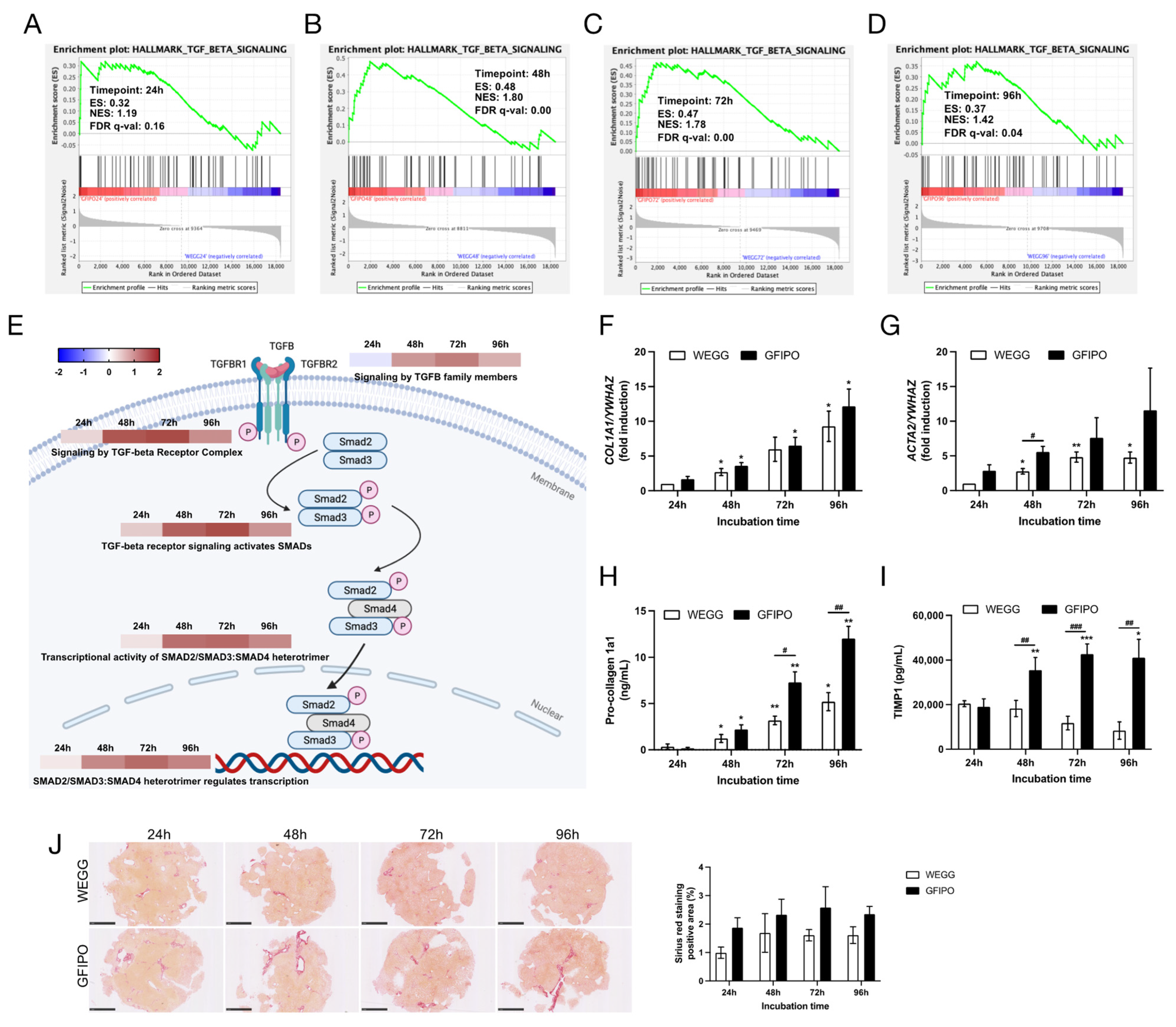 Nutrients 16 00626 g007