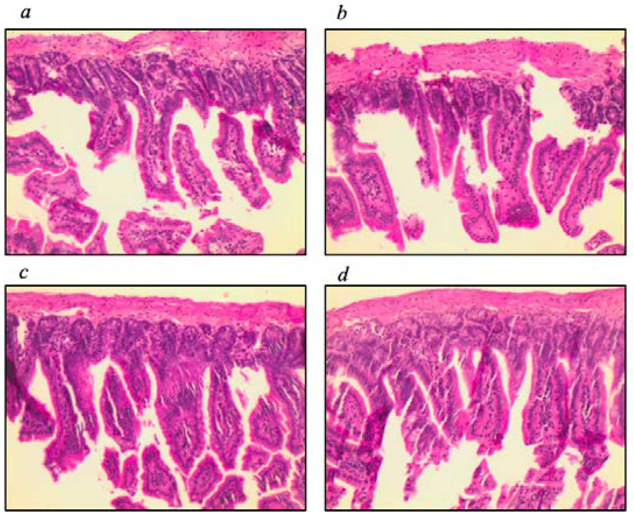 Nutrients 16 00634 g001