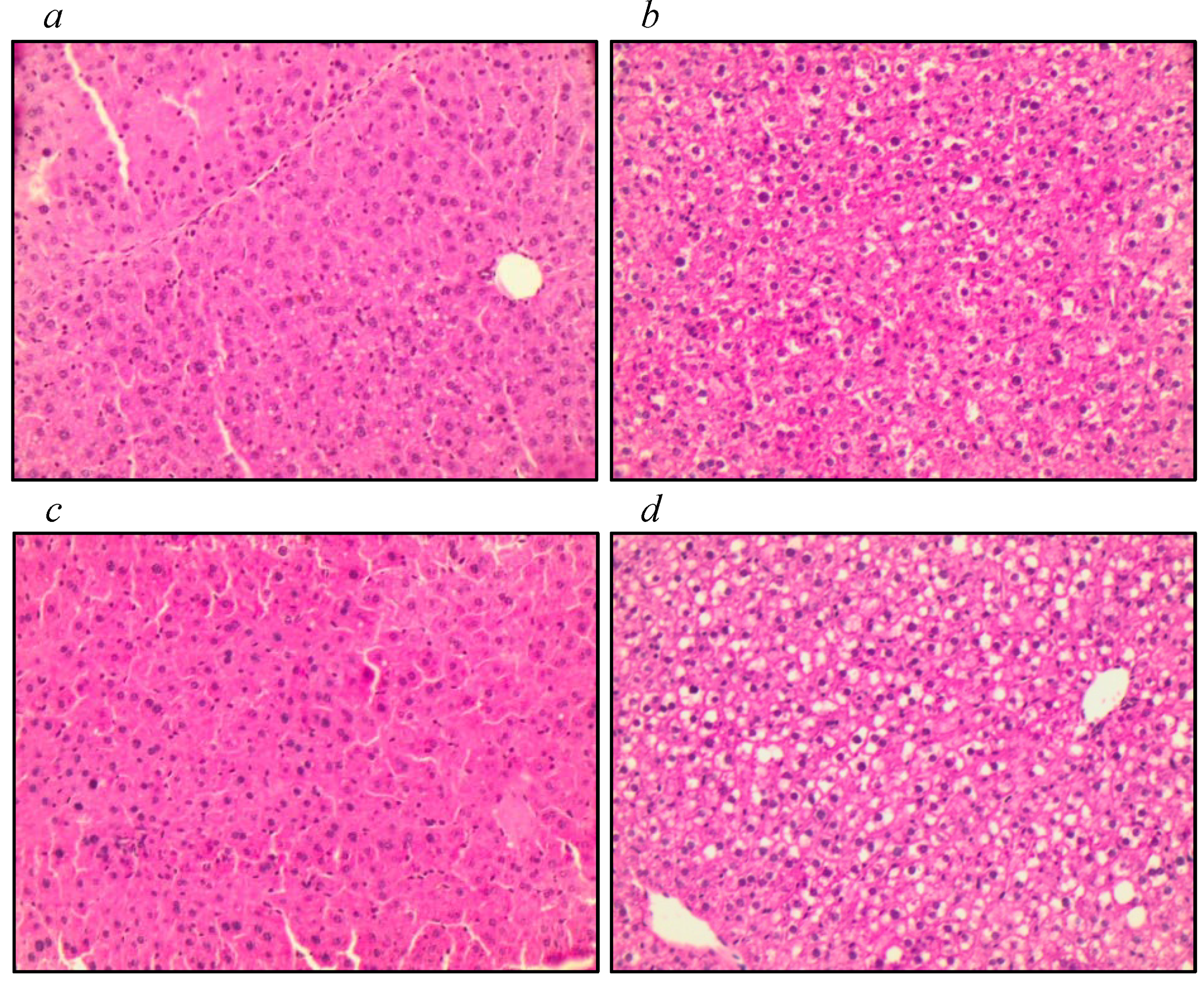 Nutrients 16 00634 g004
