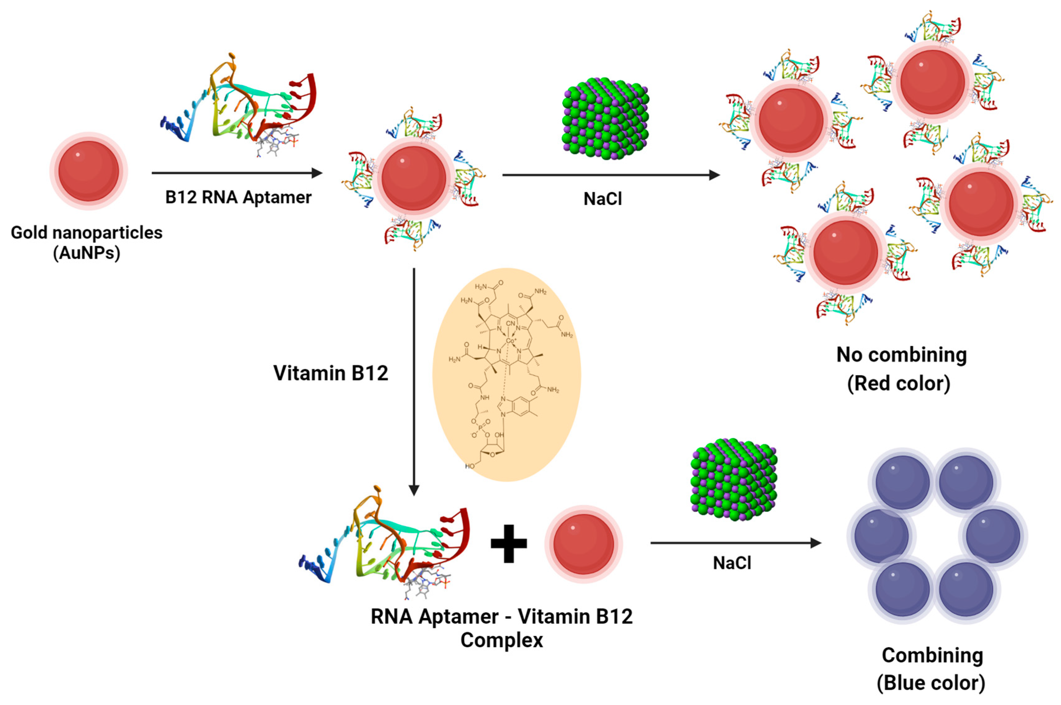 Nutrients 16 00636 g004