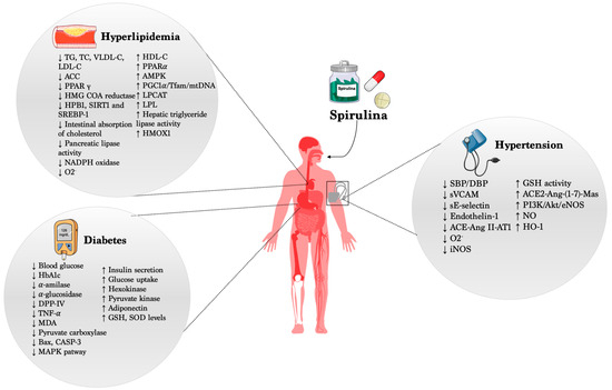 Beneficial Effects of Spirulina Supplementation in the Management of  Cardiovascular Diseases
