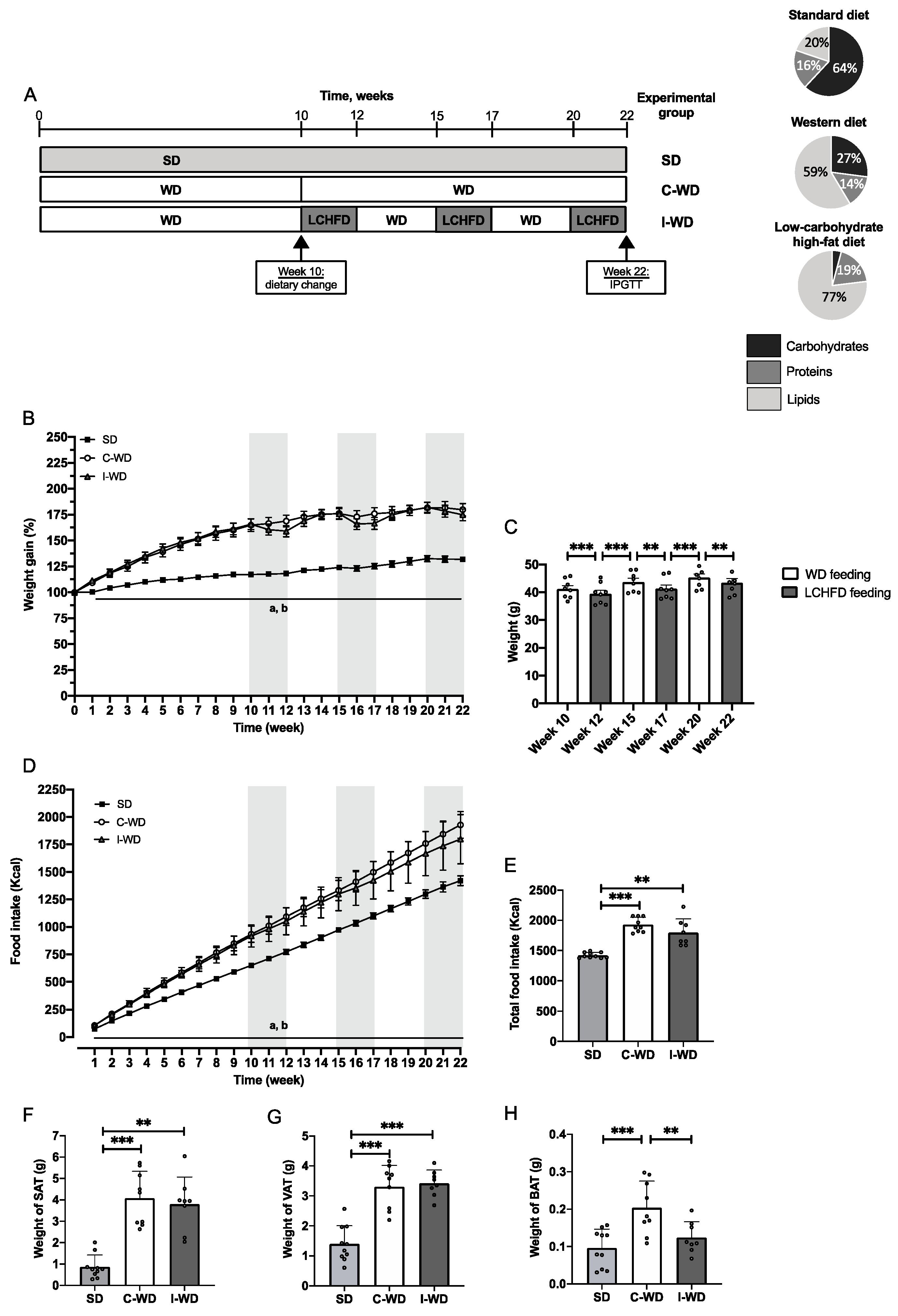 Nutrients 16 00646 g001 Nutrients 16 00646 g001
