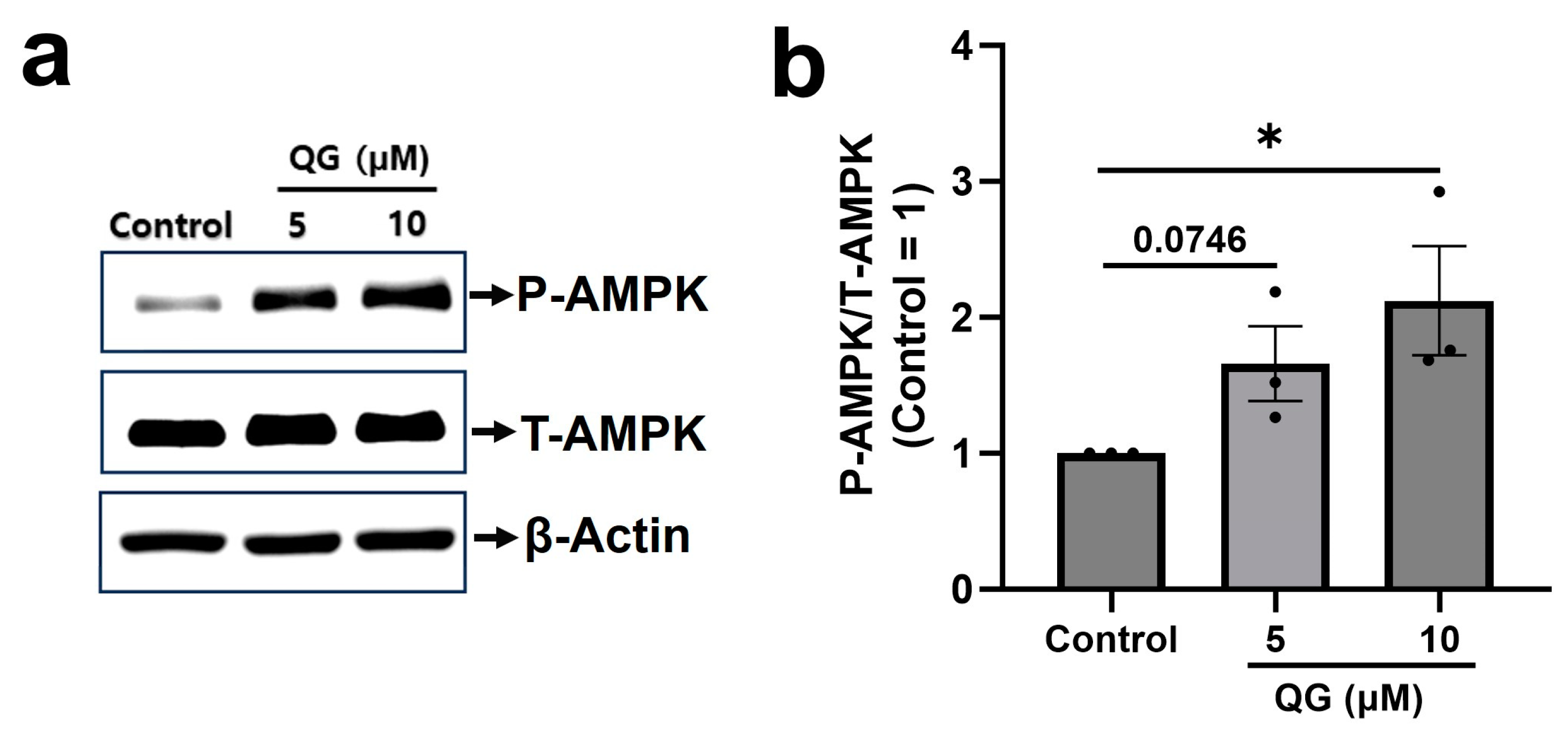 Nutrients 16 00647 g004