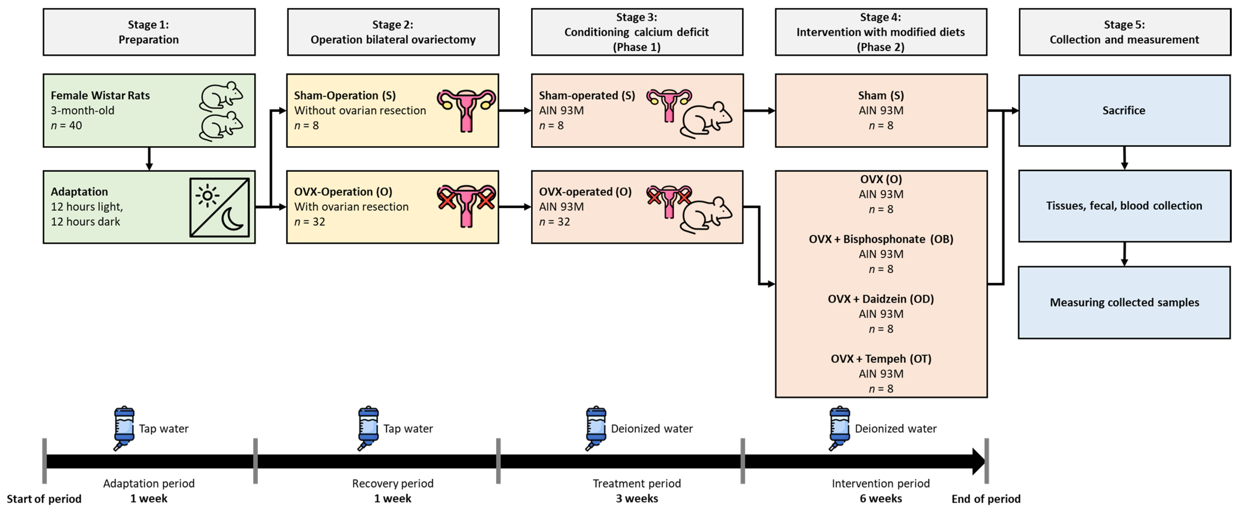 Nutrients 16 00651 g001
