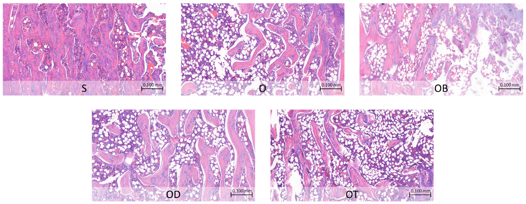 Nutrients 16 00651 g002
