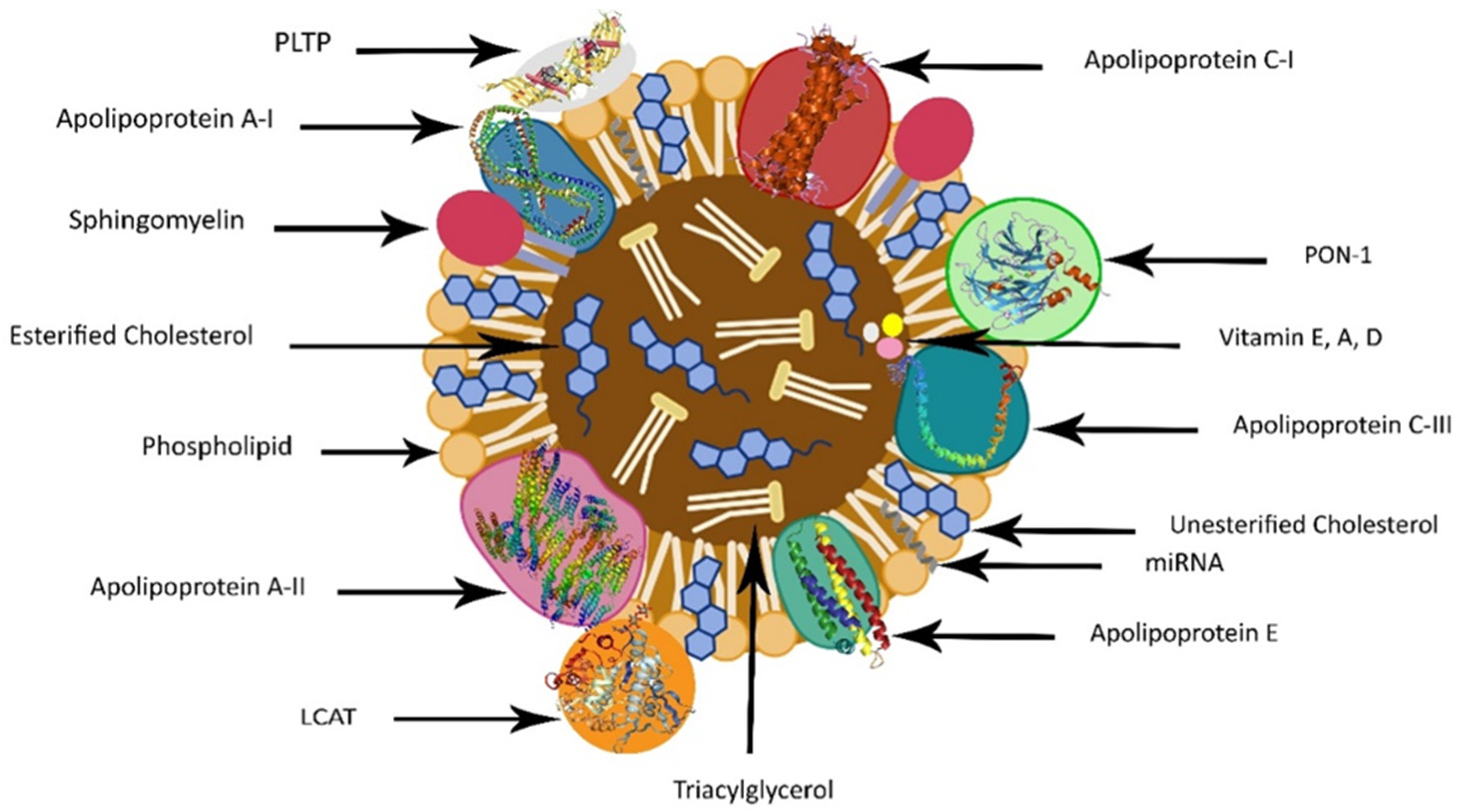 Nutrients 16 00653 g001 Nutrients 16 00653 g001