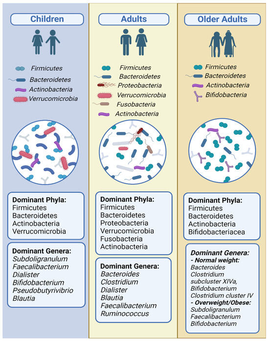 Exploring the Dynamic Relationship between the Gut Microbiome and Body ...