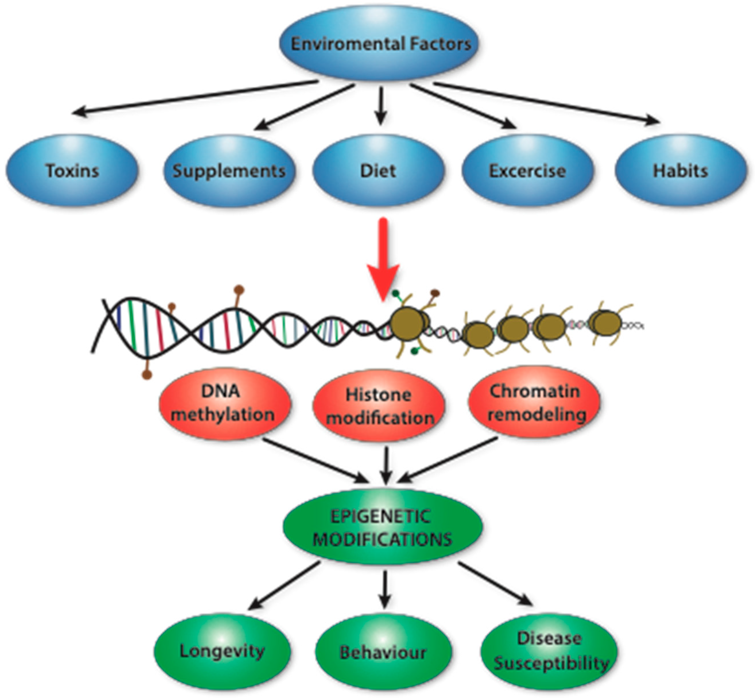 Nutrients 16 00678 g001 Nutrients 16 00678 g001
