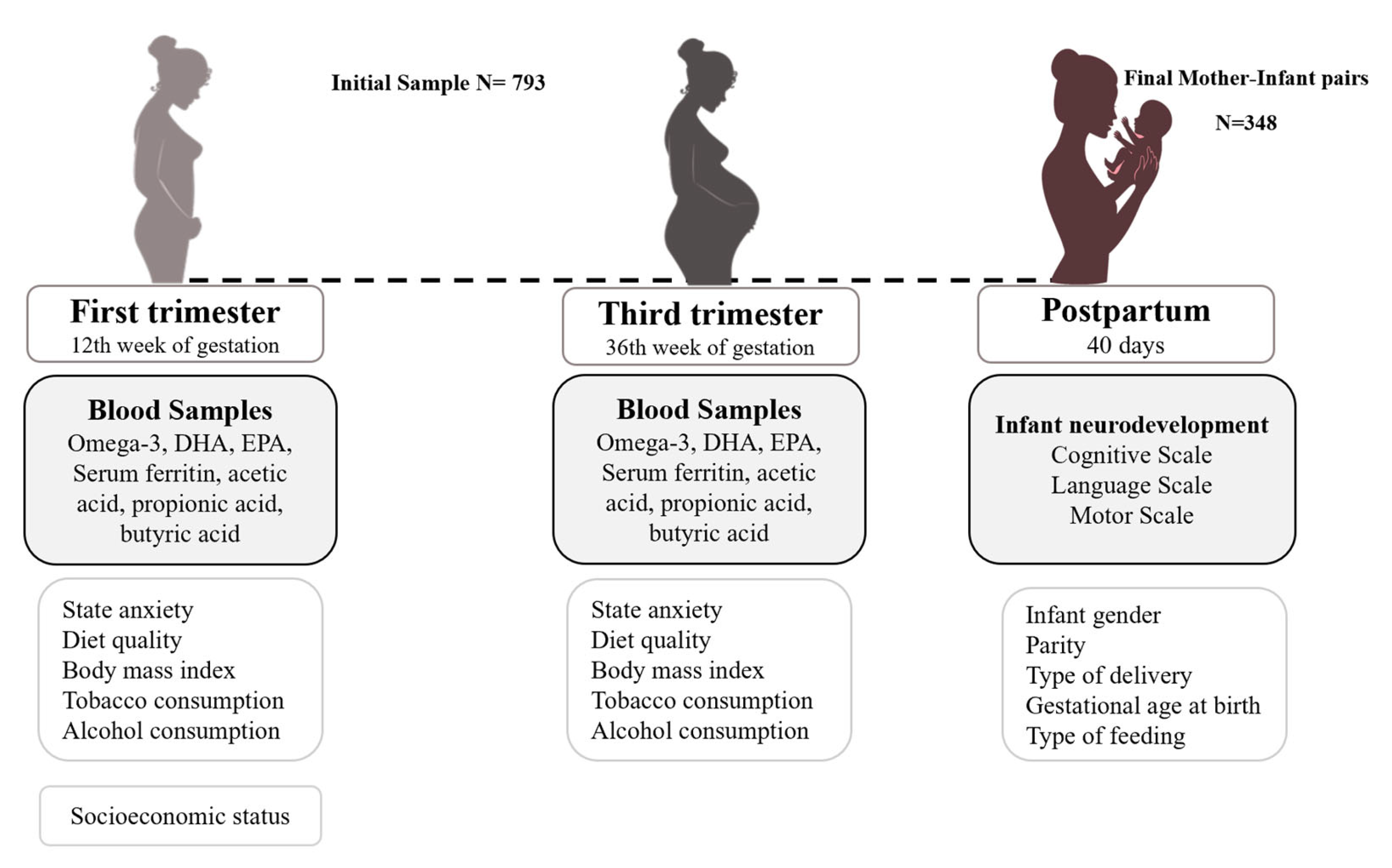Nutrients 16 00687 g001