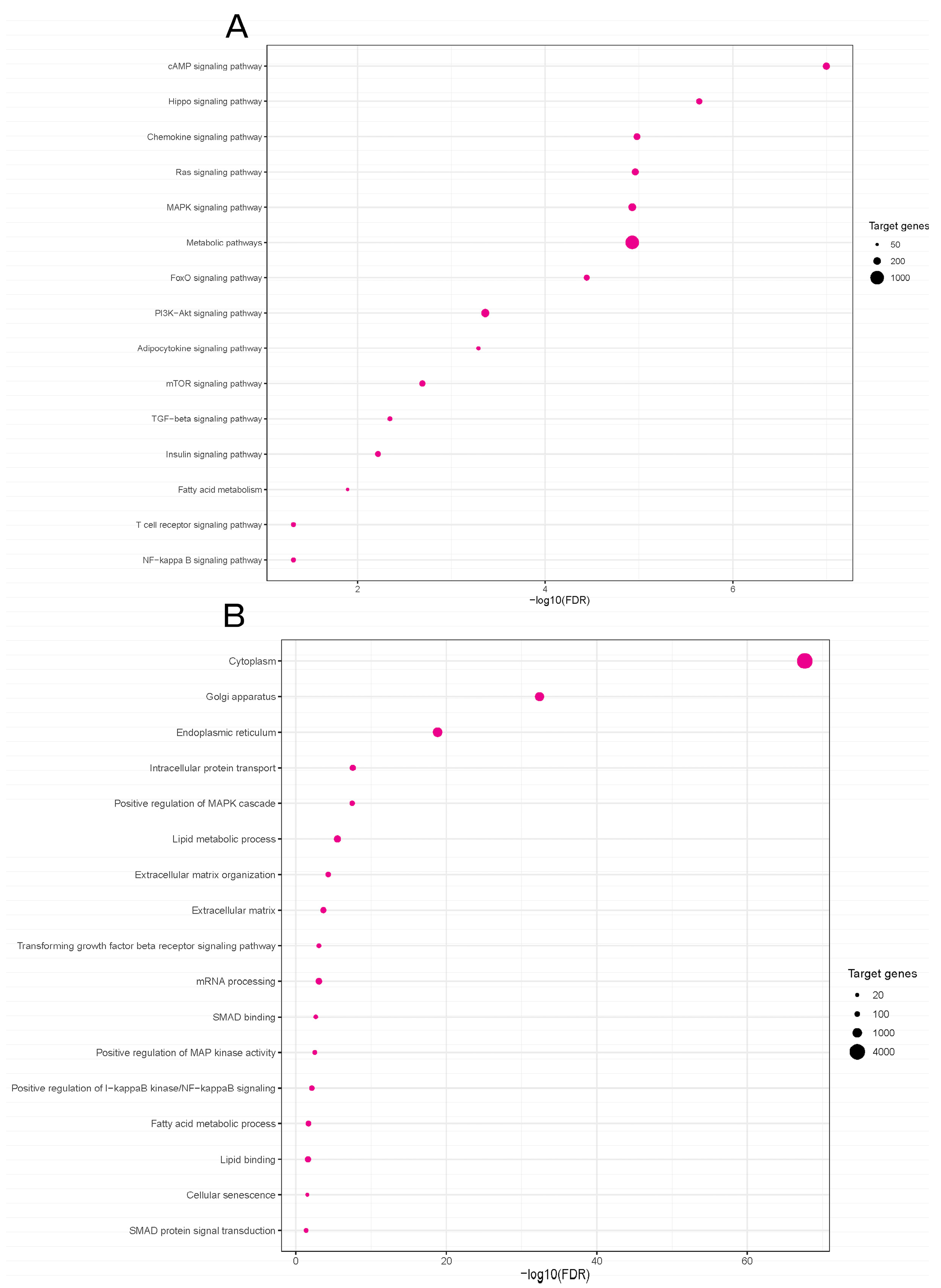 Nutrients 16 00691 g005
