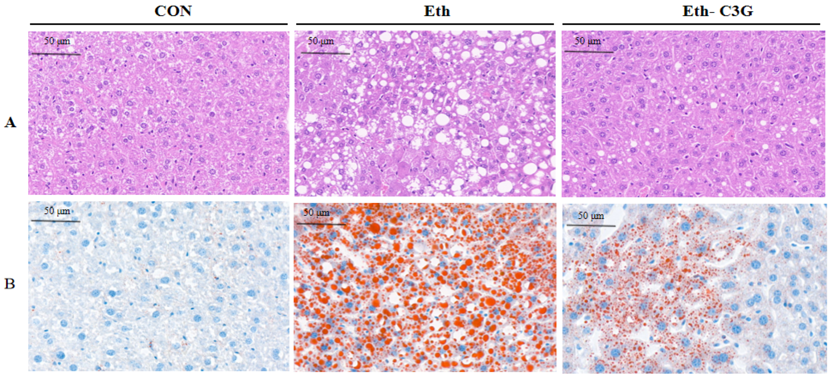 Nutrients 16 00694 g003