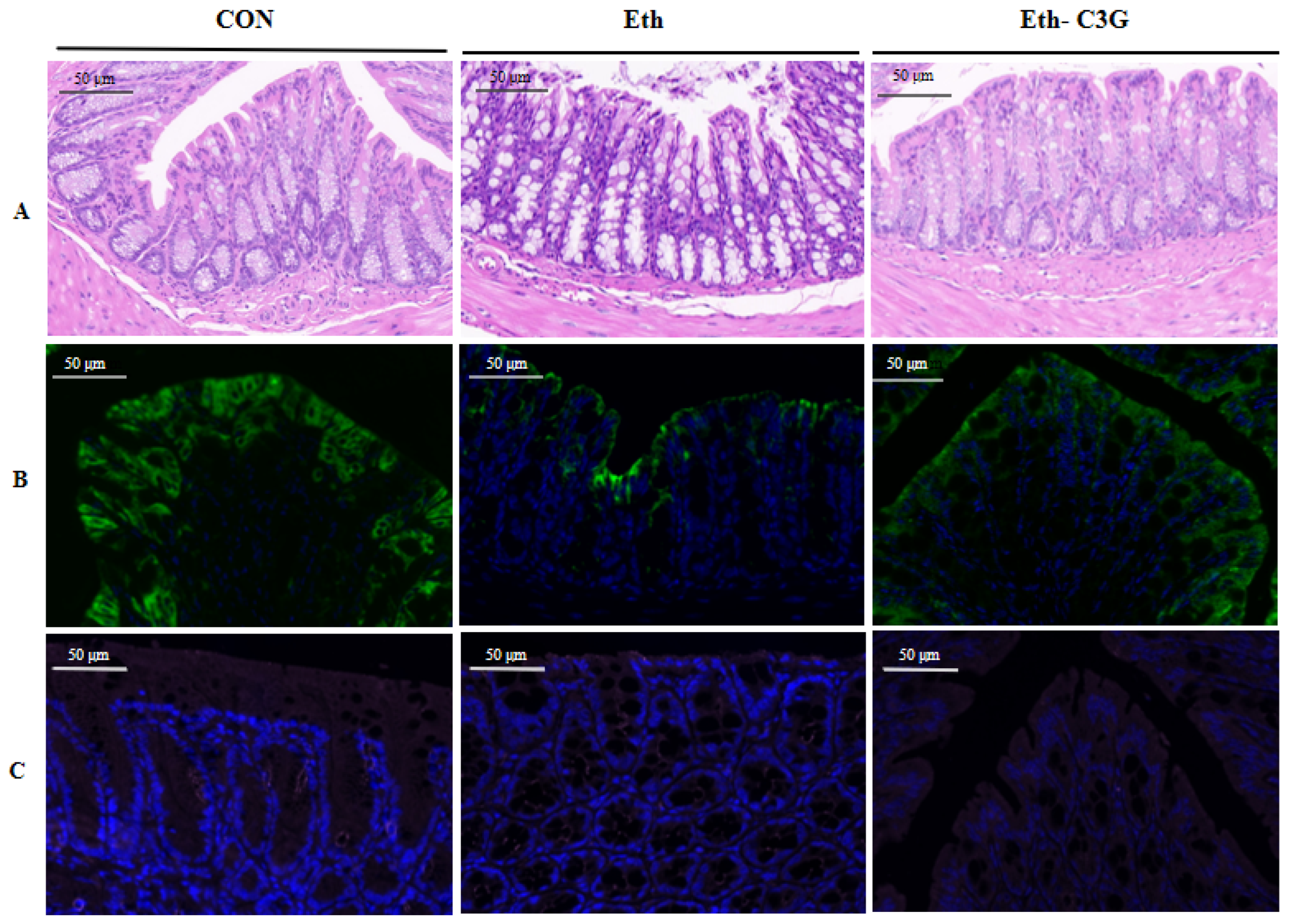 Nutrients 16 00694 g005