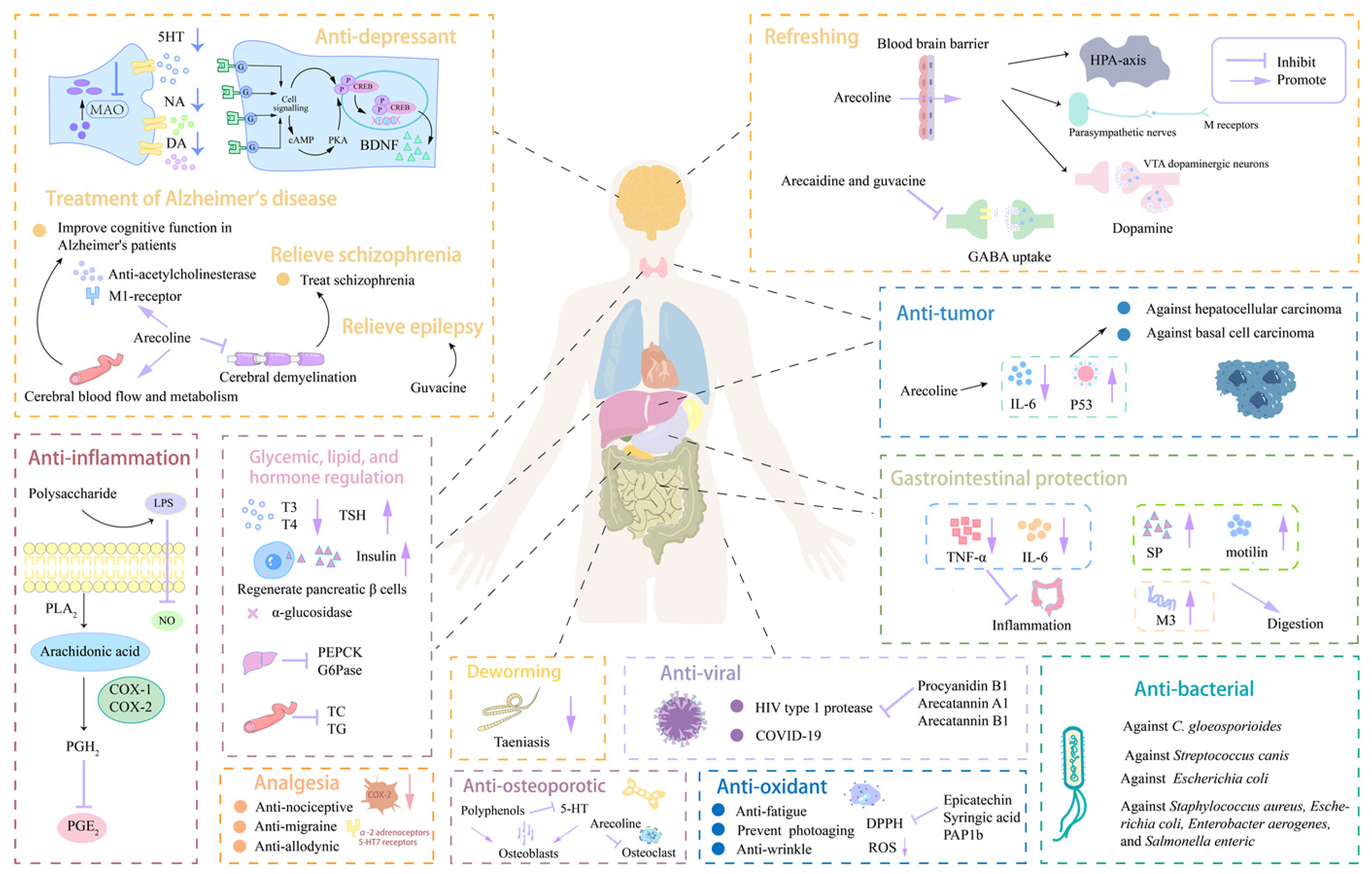 Nutrients 16 00695 g002 Nutrients 16 00695 g002