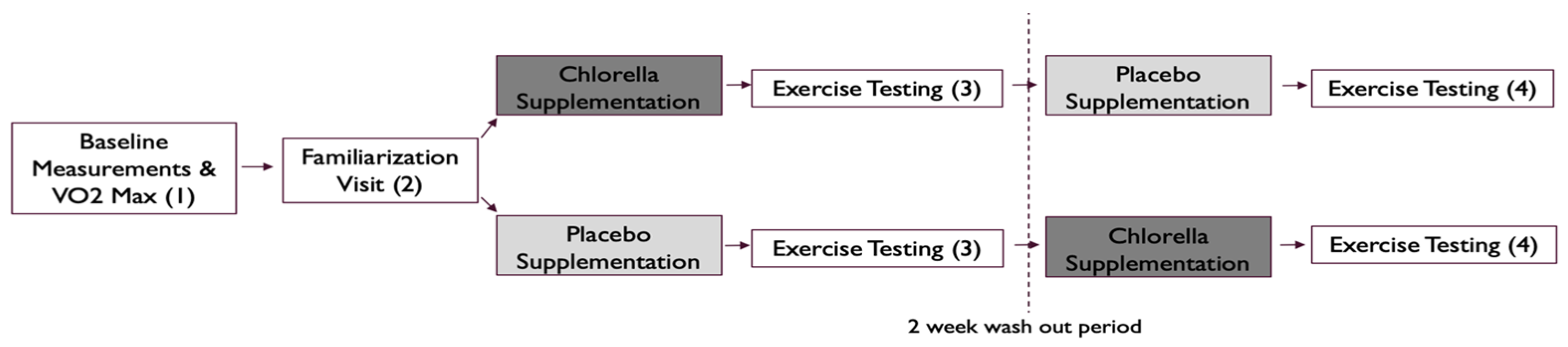 Nutrients 16 00697 g001 Nutrients 16 00697 g001